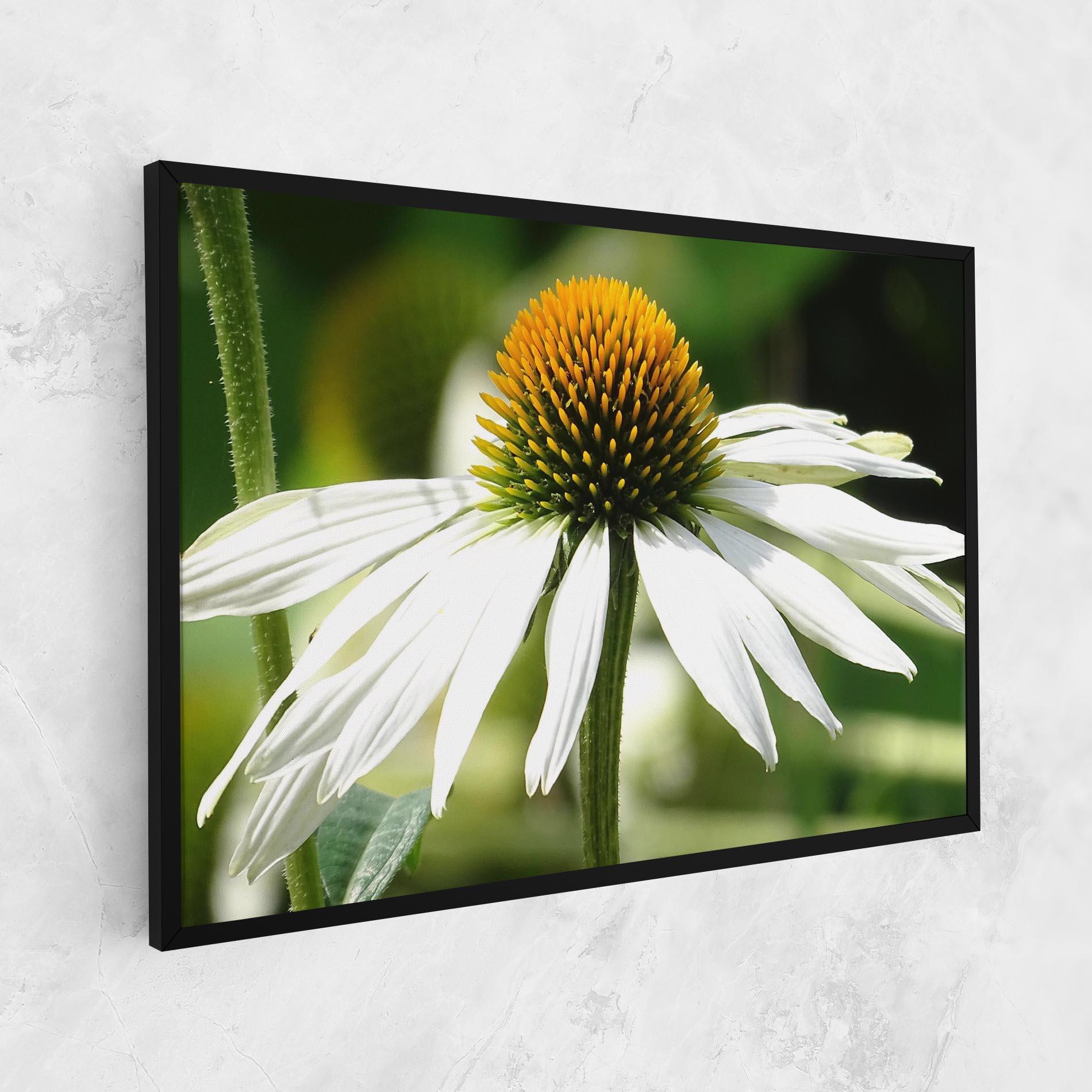 Tablou Canvas Green Daisy mockup 1