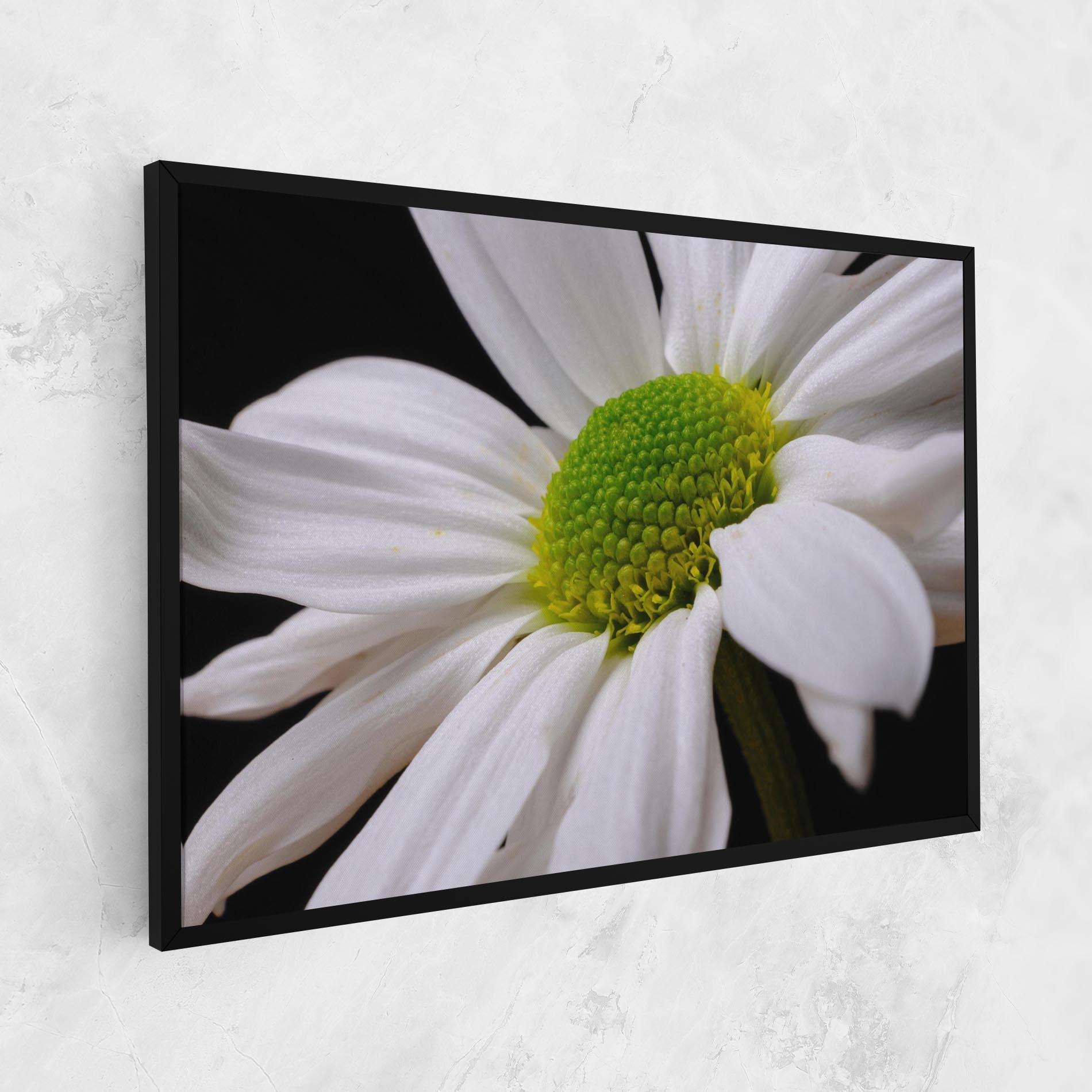 Tablou Canvas Green Middle Daisy mockup 1