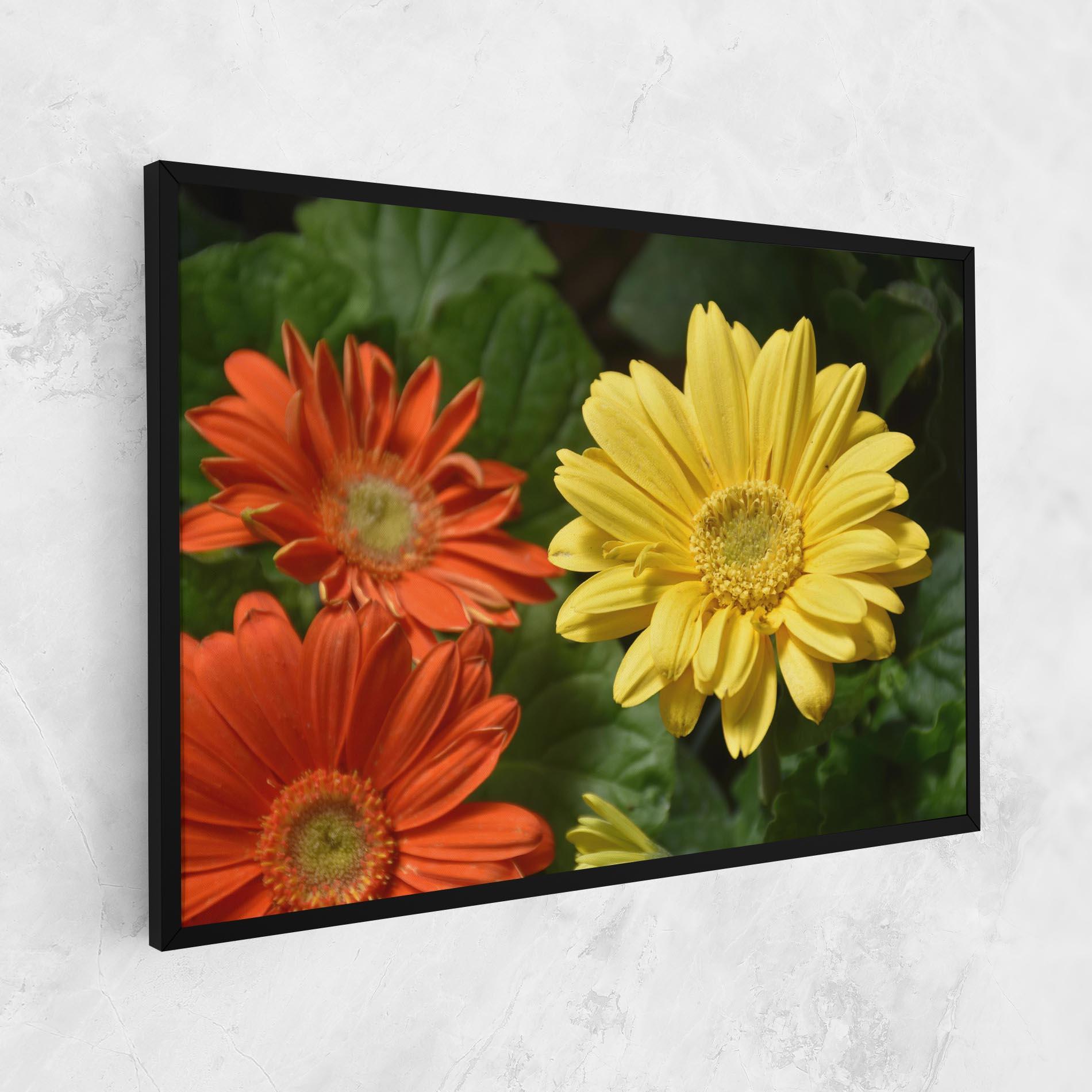 Tablou Canvas Orange Yellow Daisy mockup 1