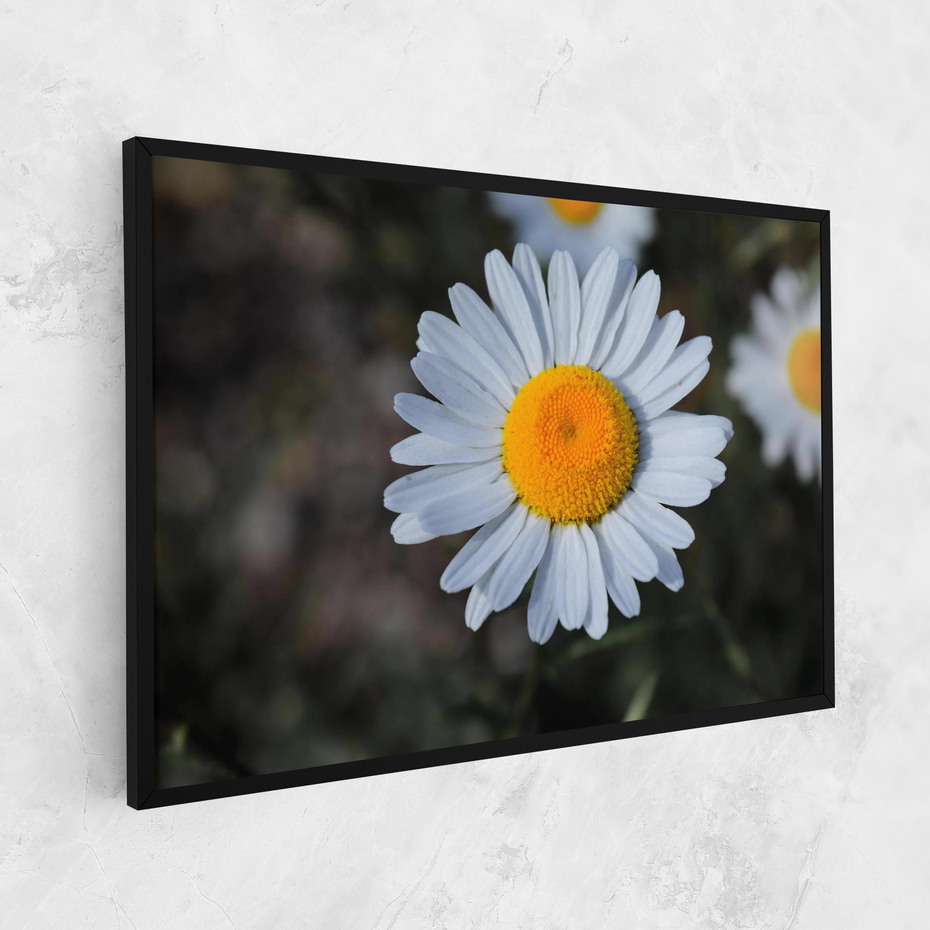 Tablou Canvas Strong Yellow Daisy mockup 1