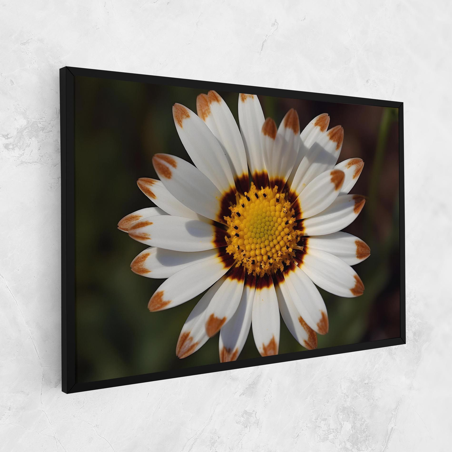White Brown Daisy mockup 1