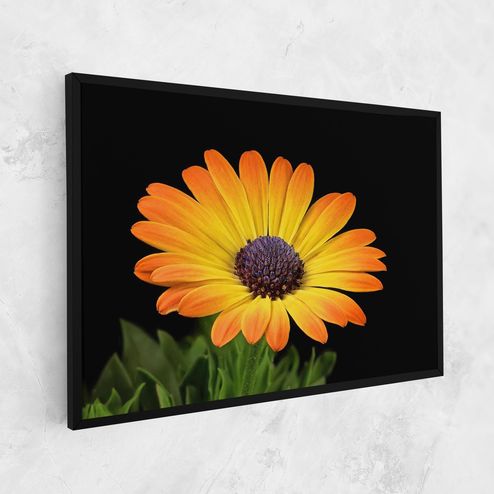 Yellow Daisy mockup 1