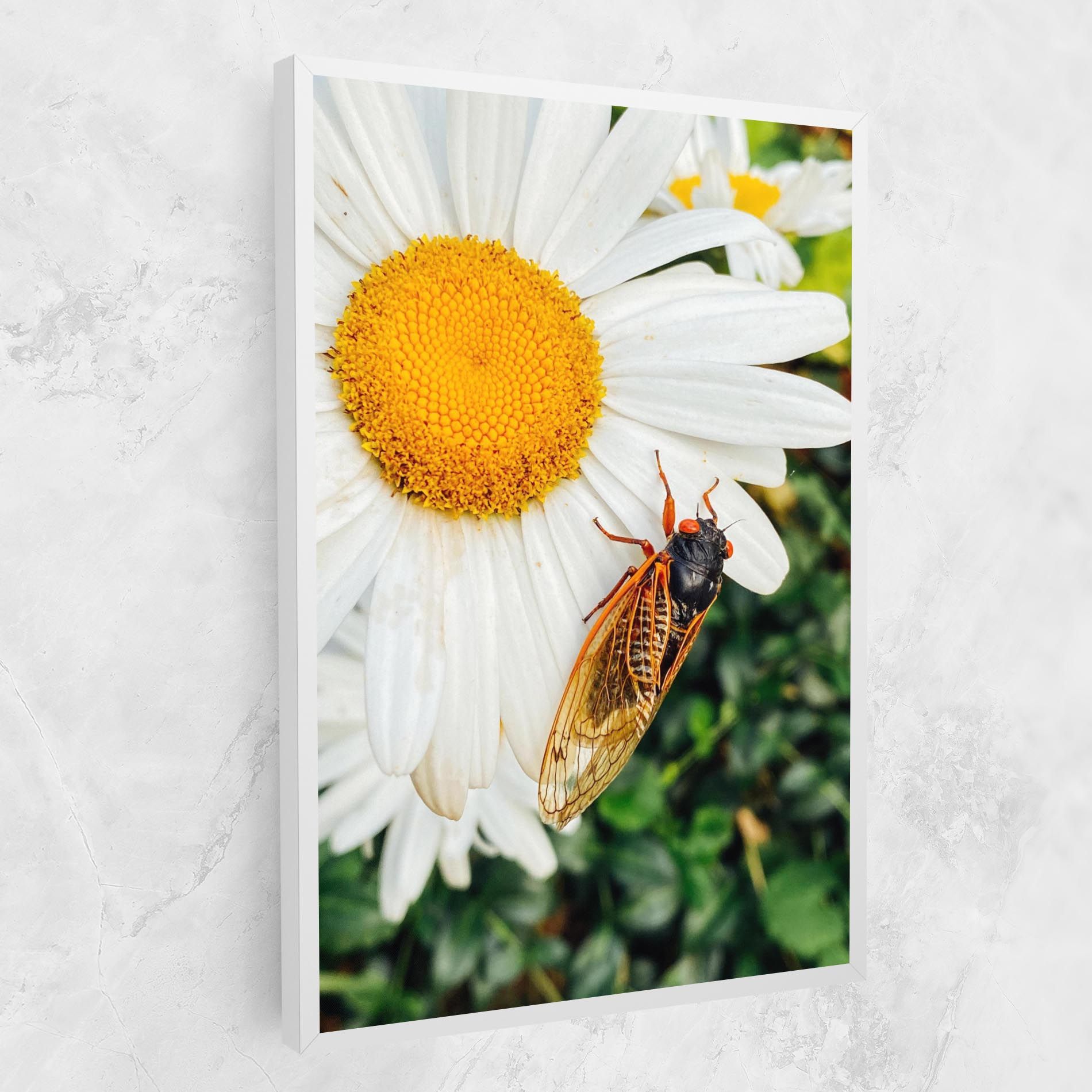 Bug On The Daisy mockup 1