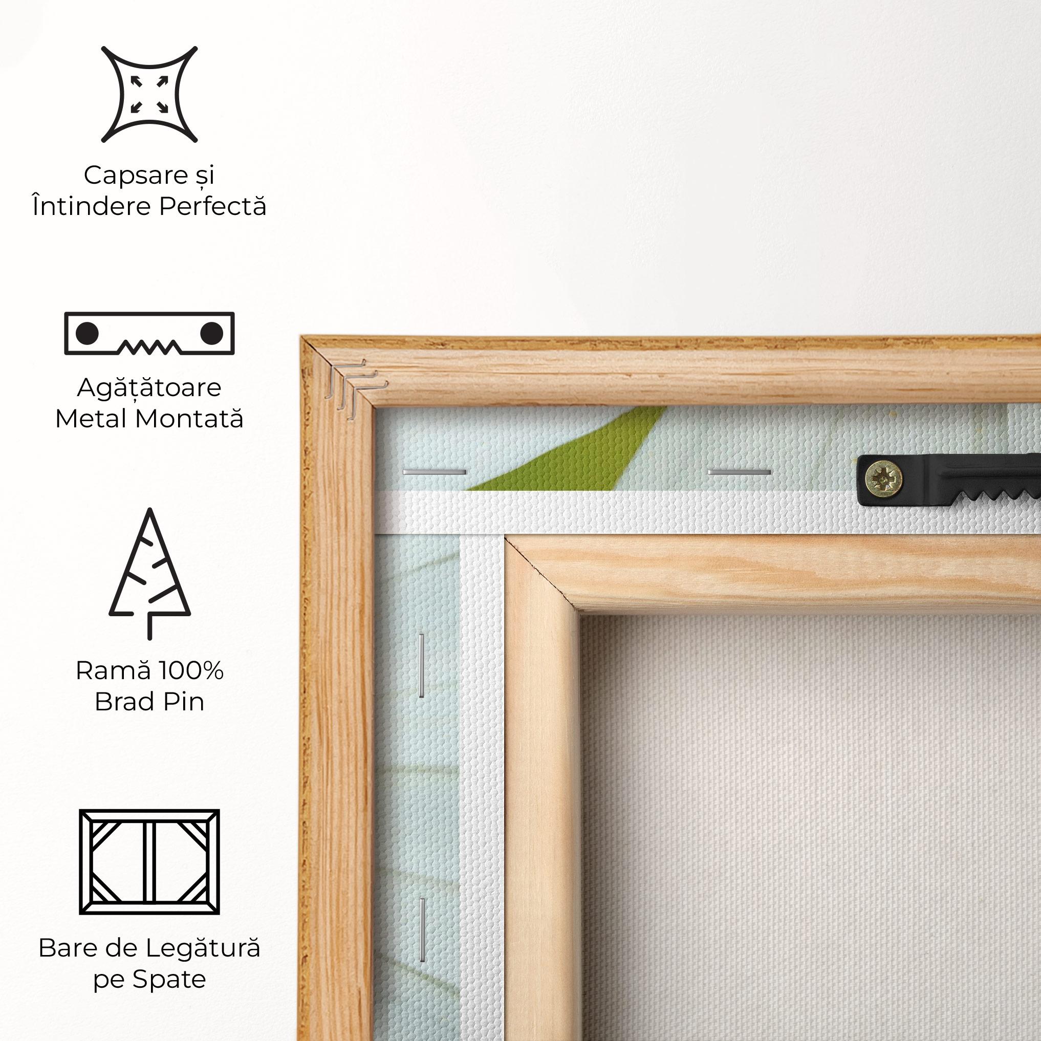 Tablou Canvas Daisy Close Up mockup 5