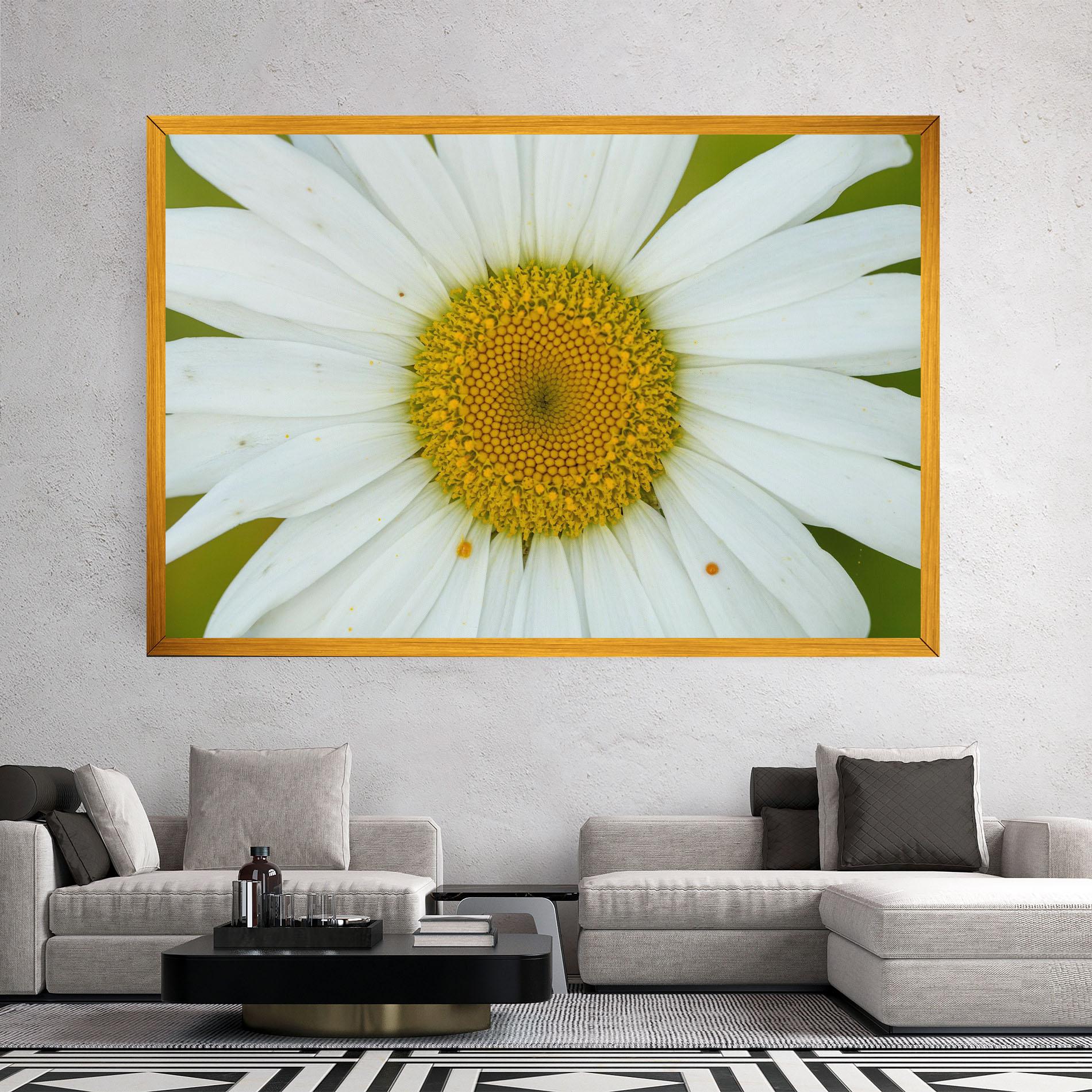 Tablou Canvas Daisy Close Up mockup 2