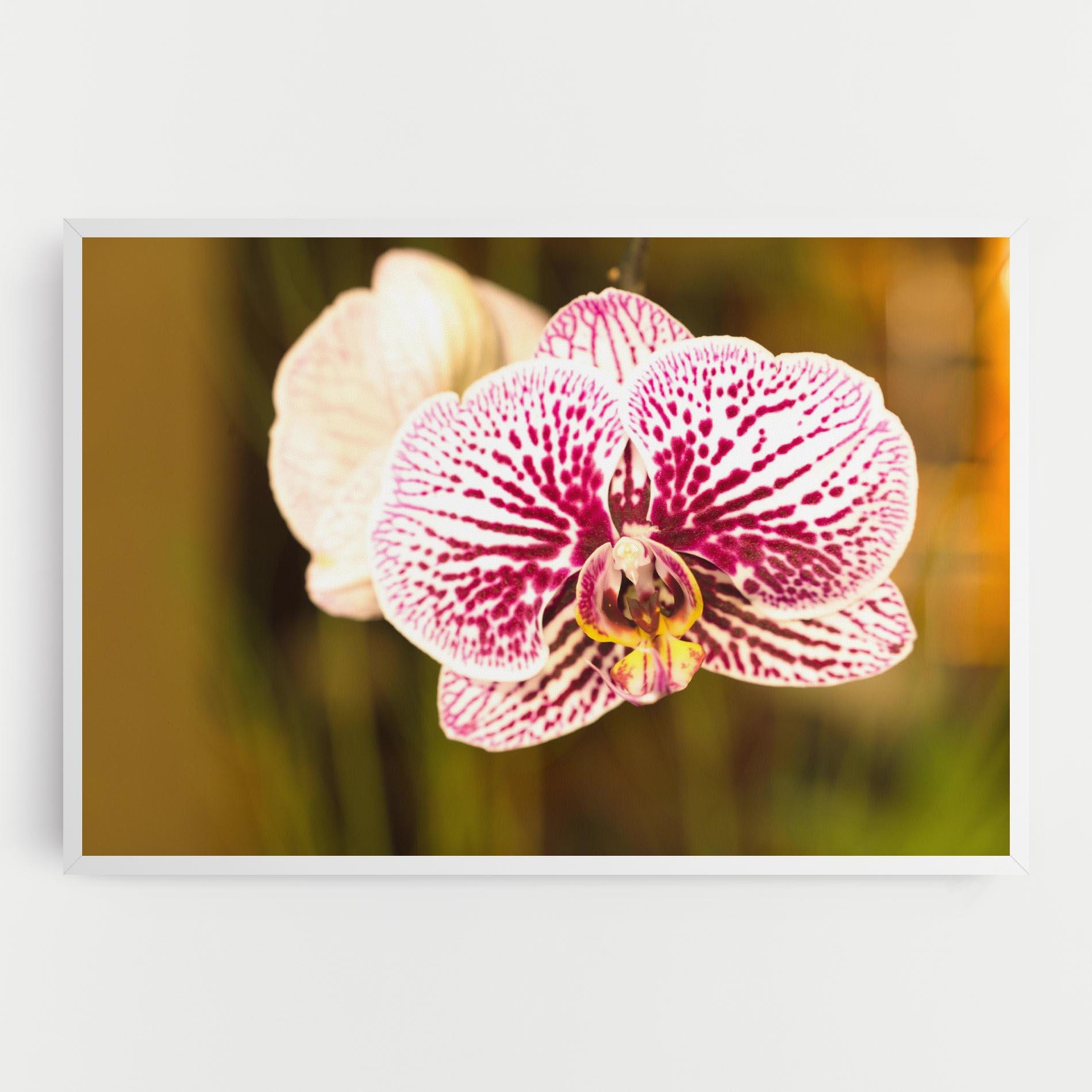 Tablou Canvas Garden Orchids mockup 0