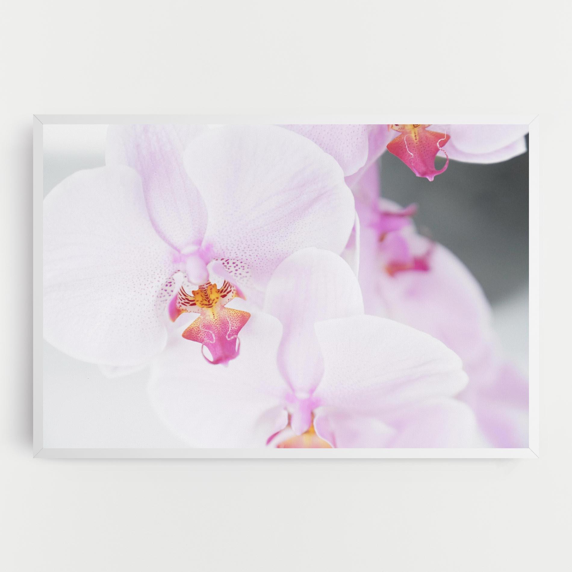 Tablou Canvas Light Purple Orchid mockup 0