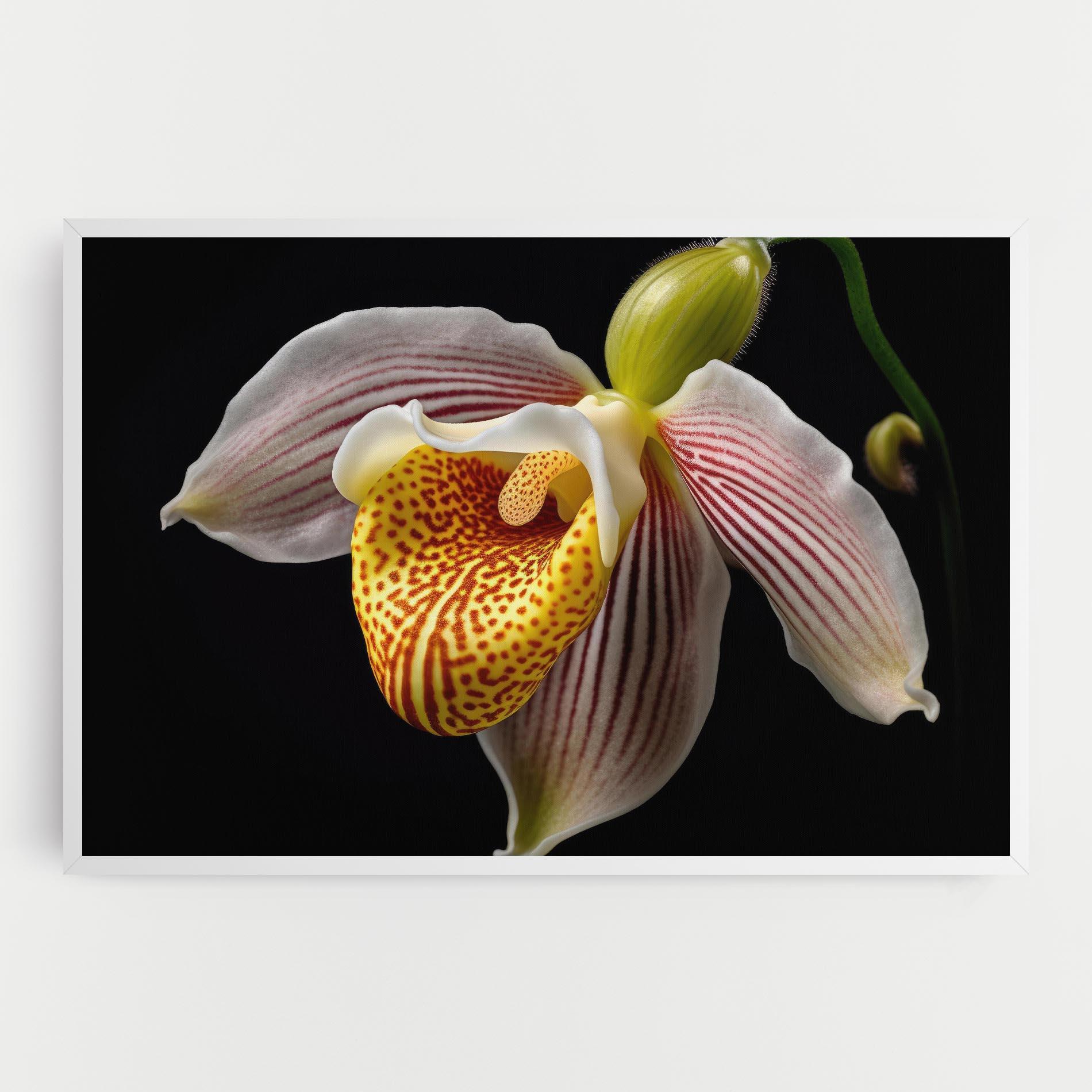 Tablou Canvas Orchid On Black mockup 0