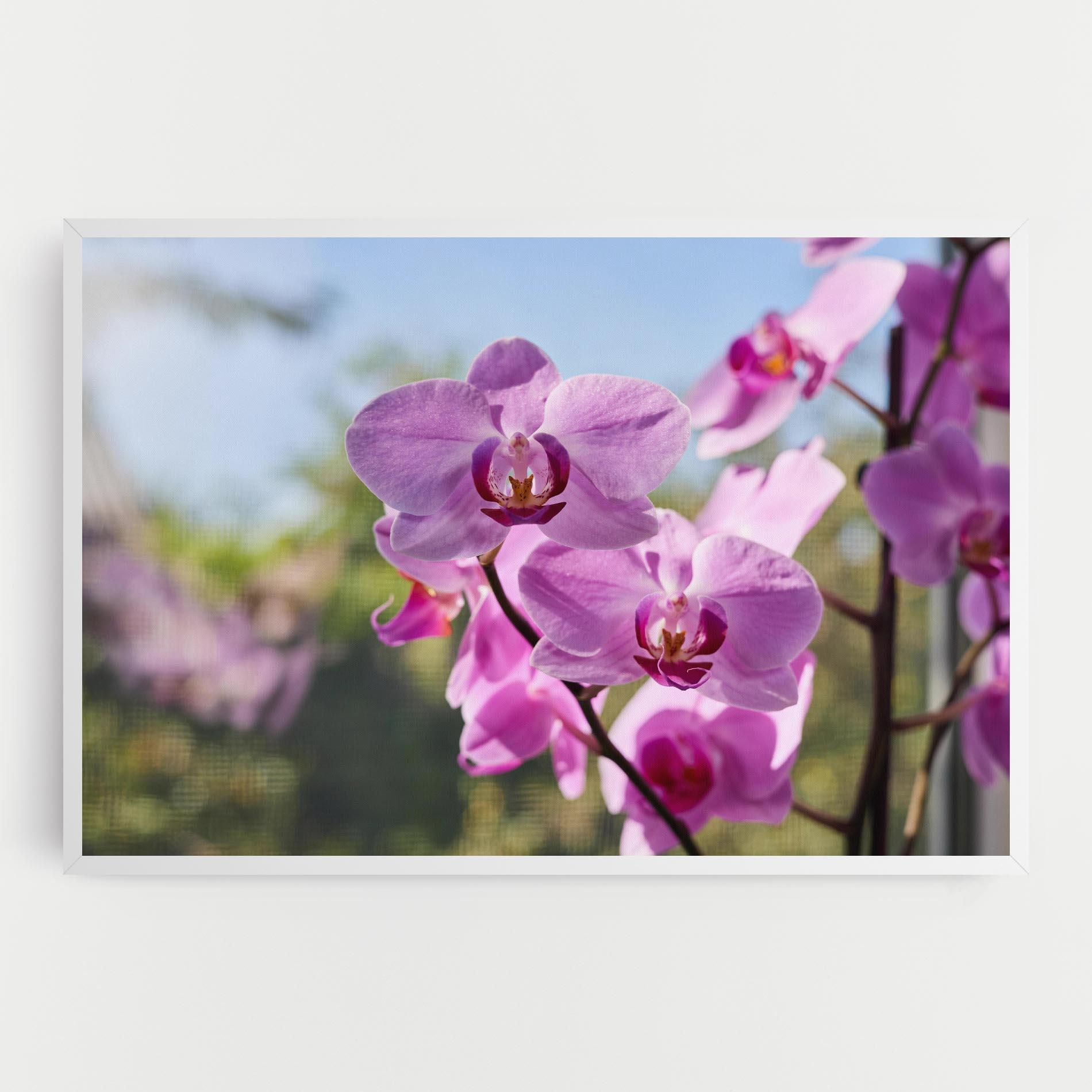 Tablou Canvas Orchids In The Garden mockup 0