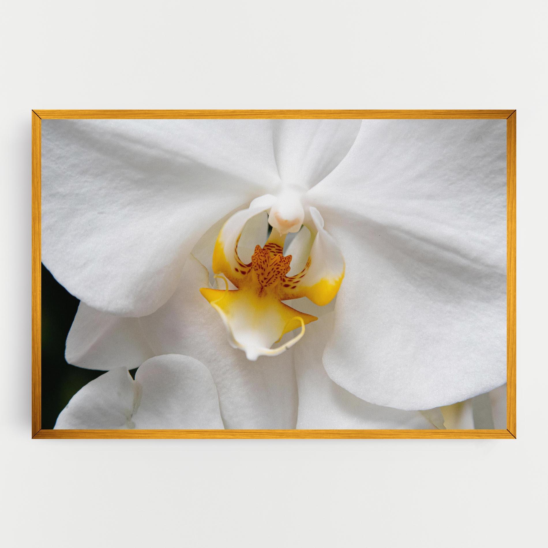 Tablou Canvas Big Orchid Close Up mockup 0