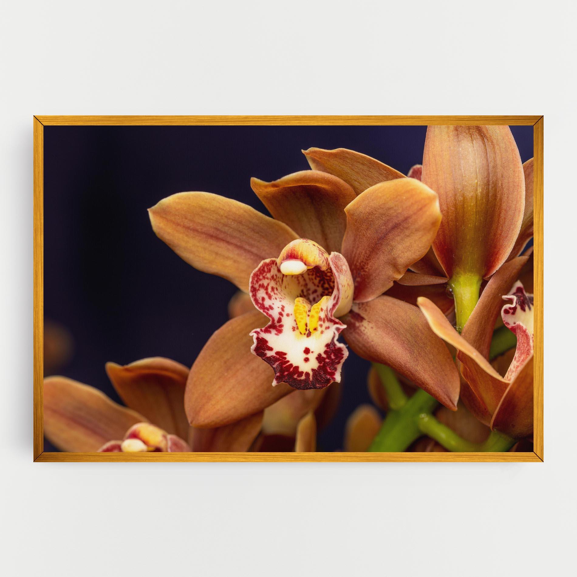Tablou Canvas Dirty Orange Orchid mockup 0