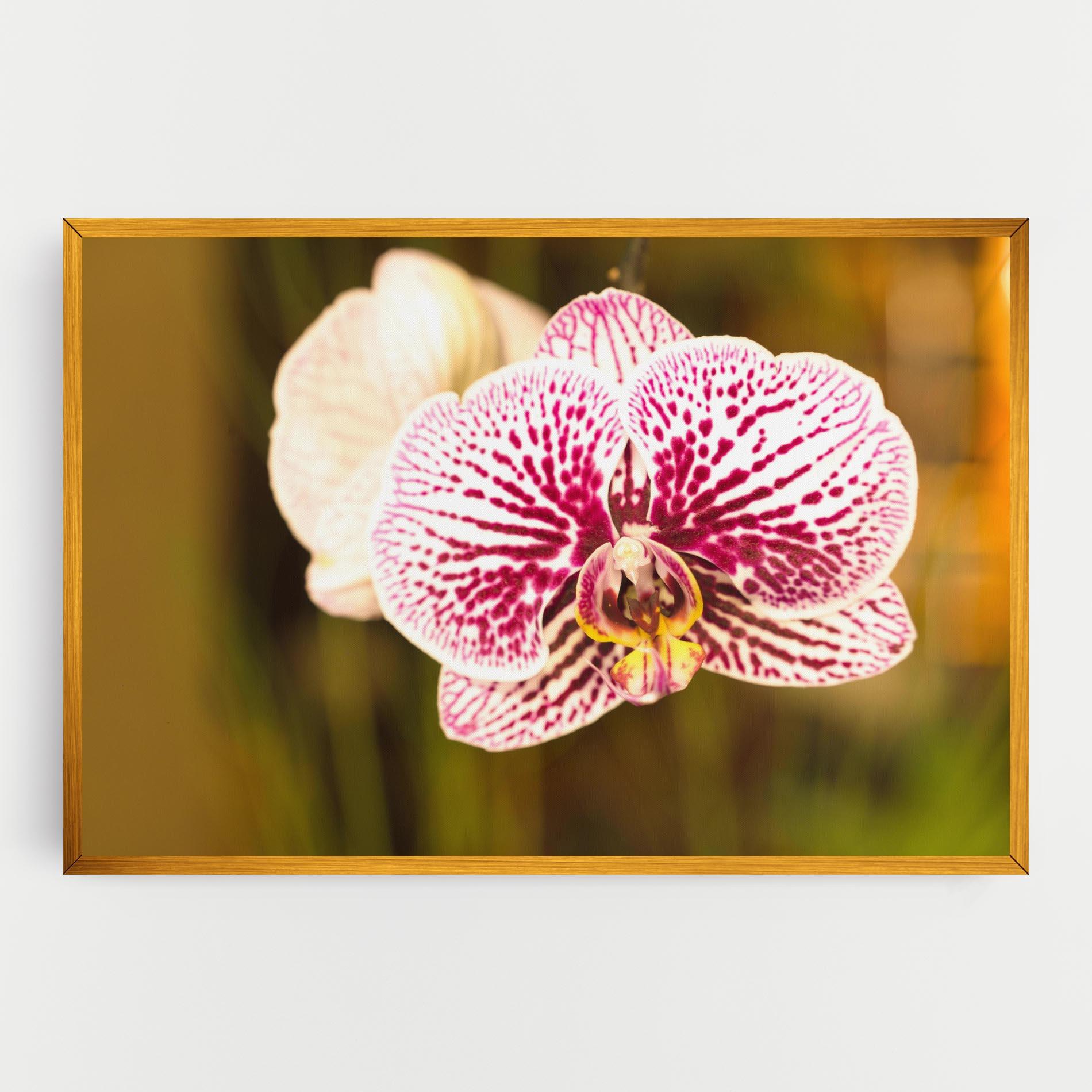 Tablou Canvas Garden Orchids mockup 0