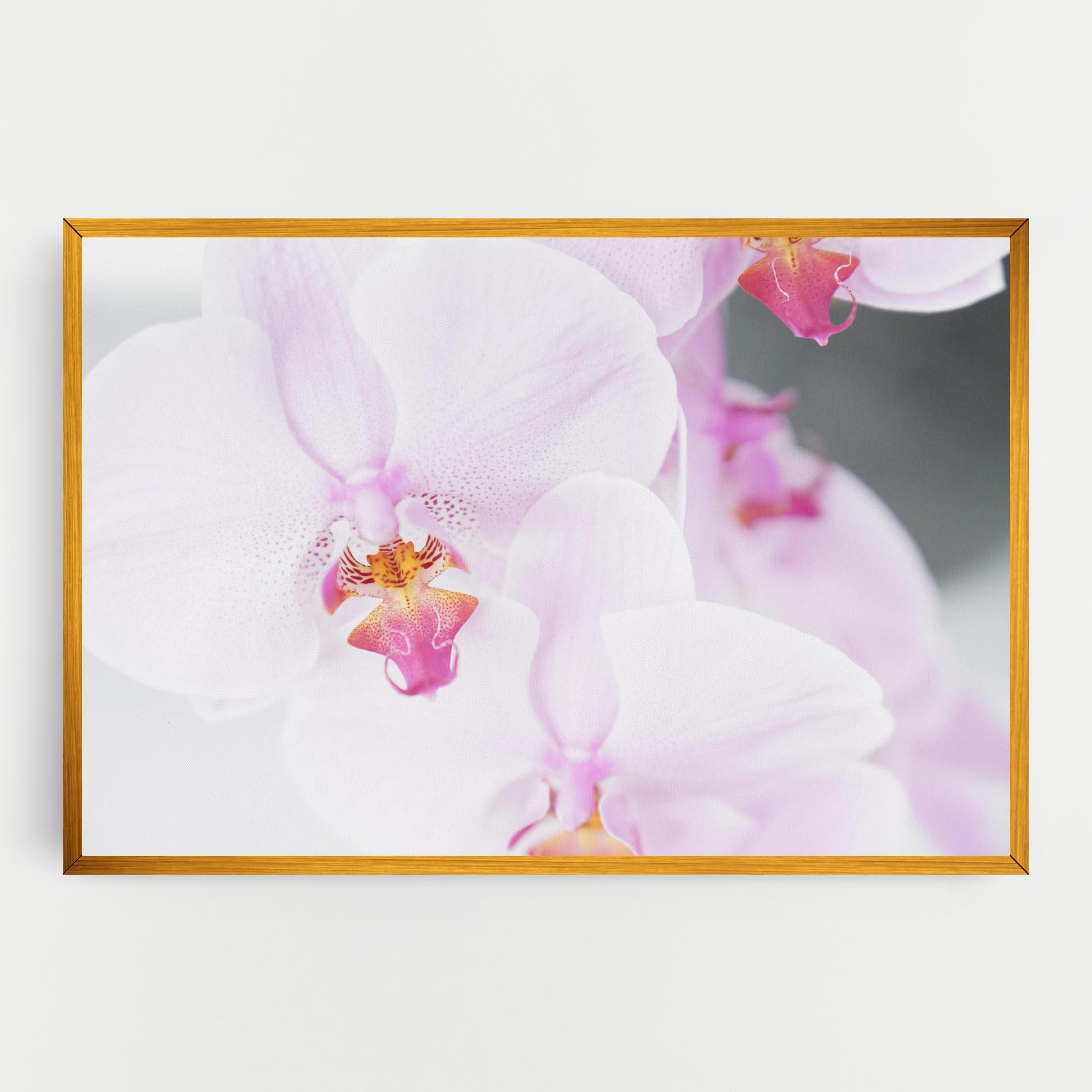 Tablou Canvas Light Purple Orchid mockup 0