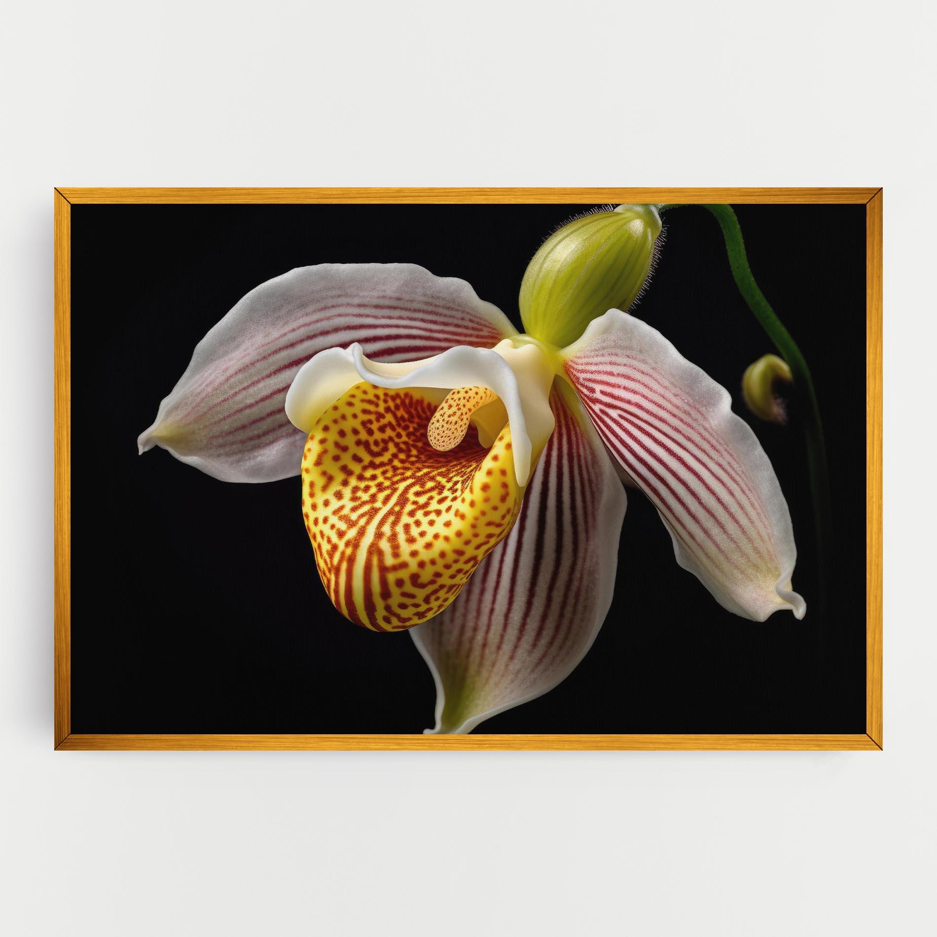 Tablou Canvas Orchid On Black mockup 0