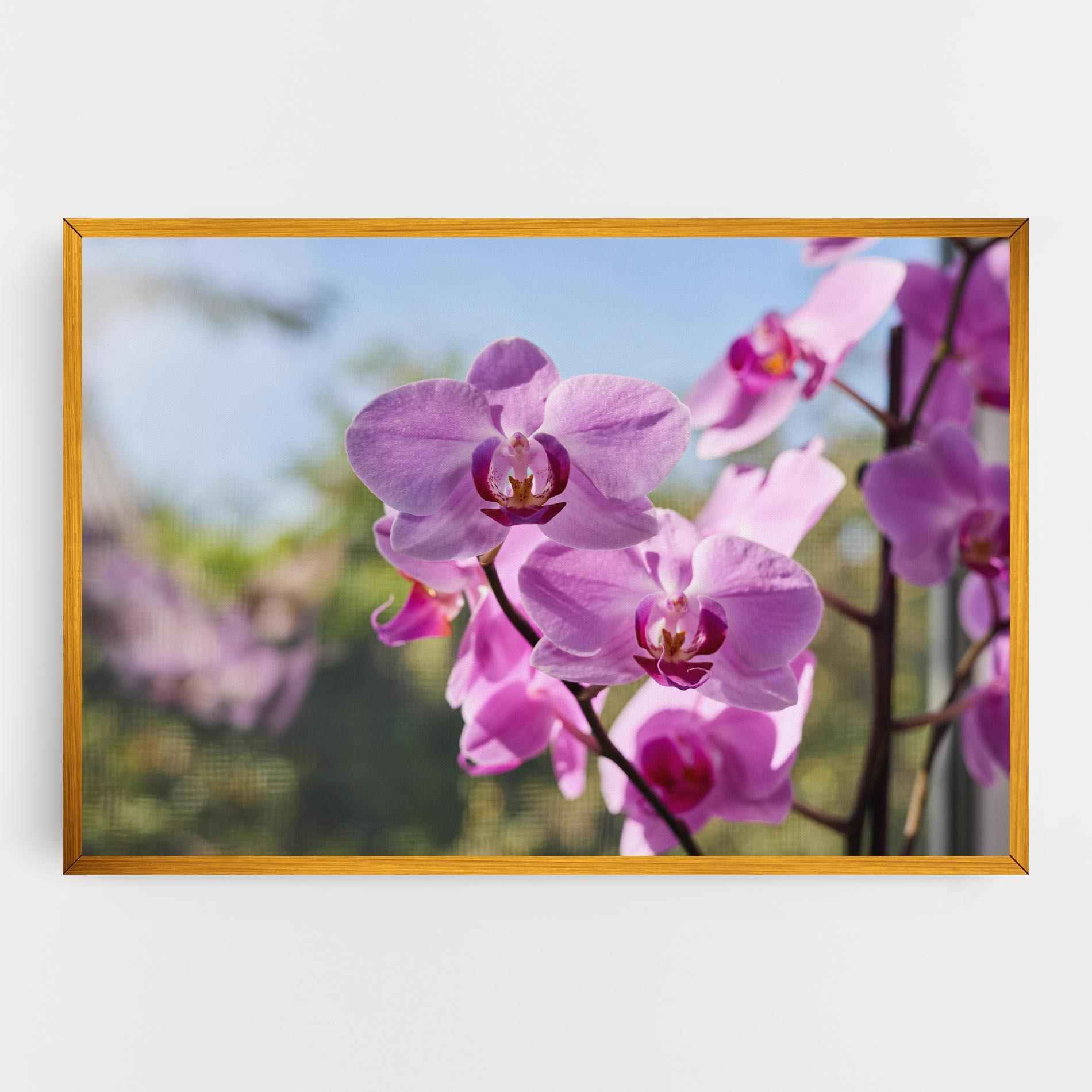 Tablou Canvas Orchids In The Garden mockup 0