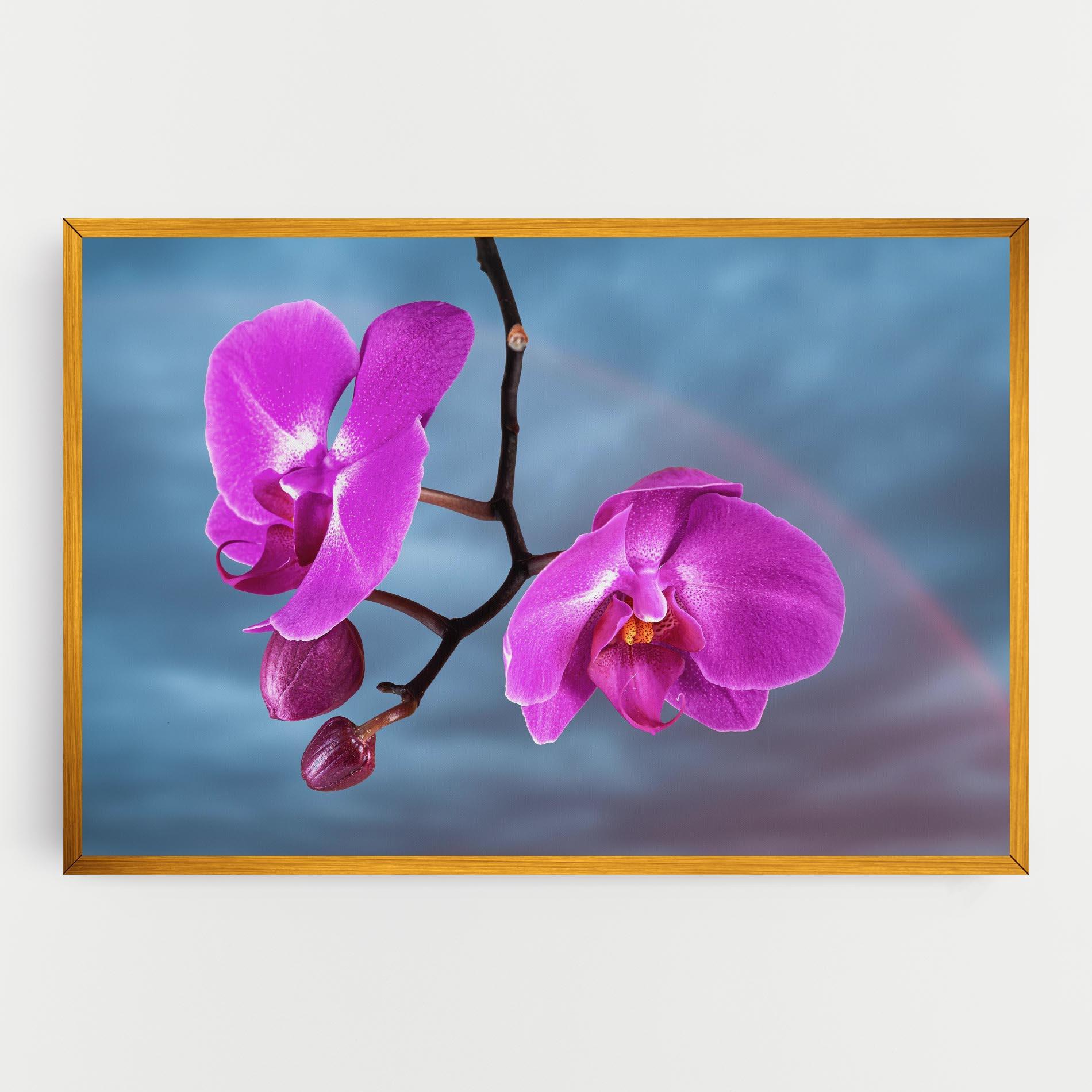 Tablou Canvas Sky Purple Orchid mockup 0