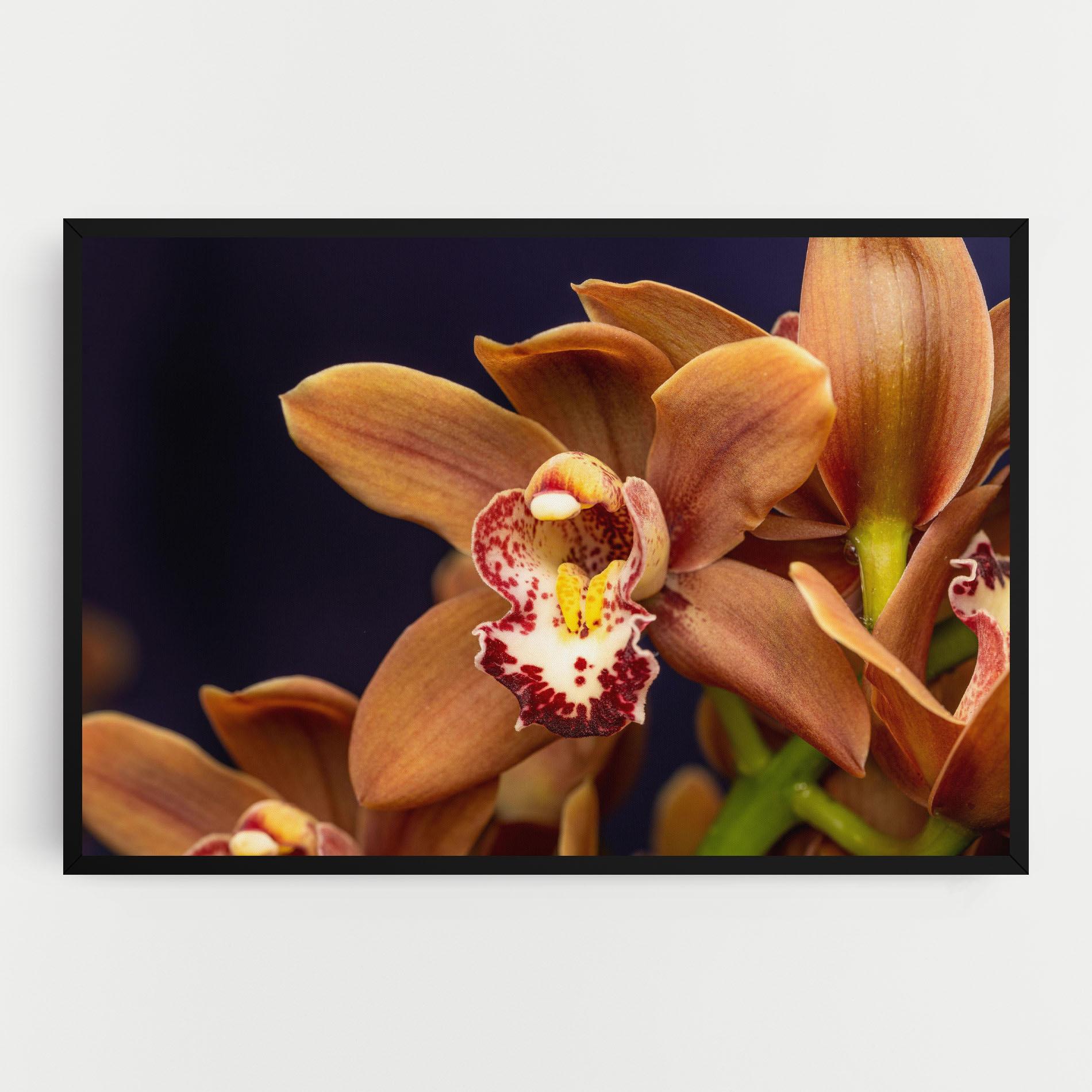 Tablou Canvas Dirty Orange Orchid mockup 0
