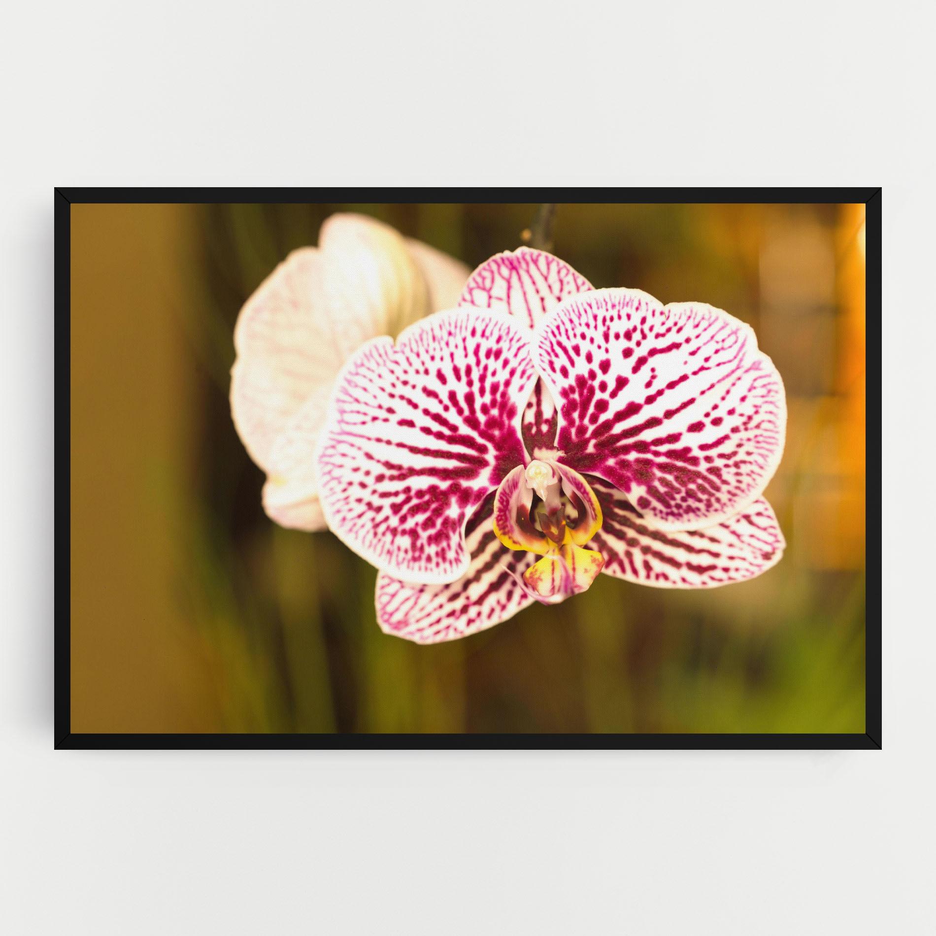 Tablou Canvas Garden Orchids mockup 0