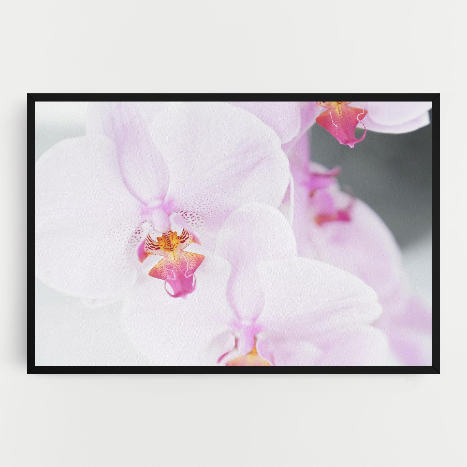 Tablou Canvas Light Purple Orchid mockup 0