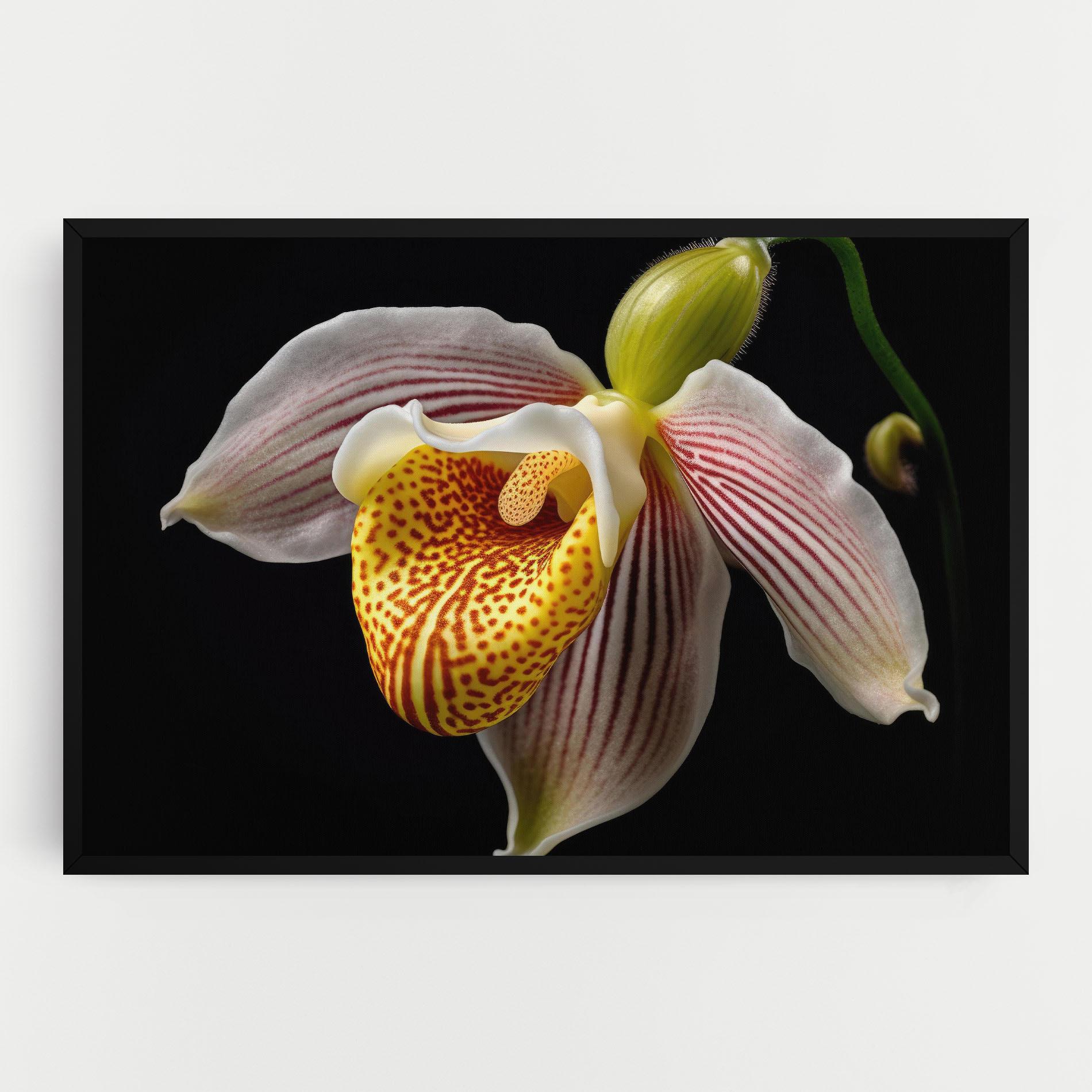 Tablou Canvas Orchid On Black mockup 0