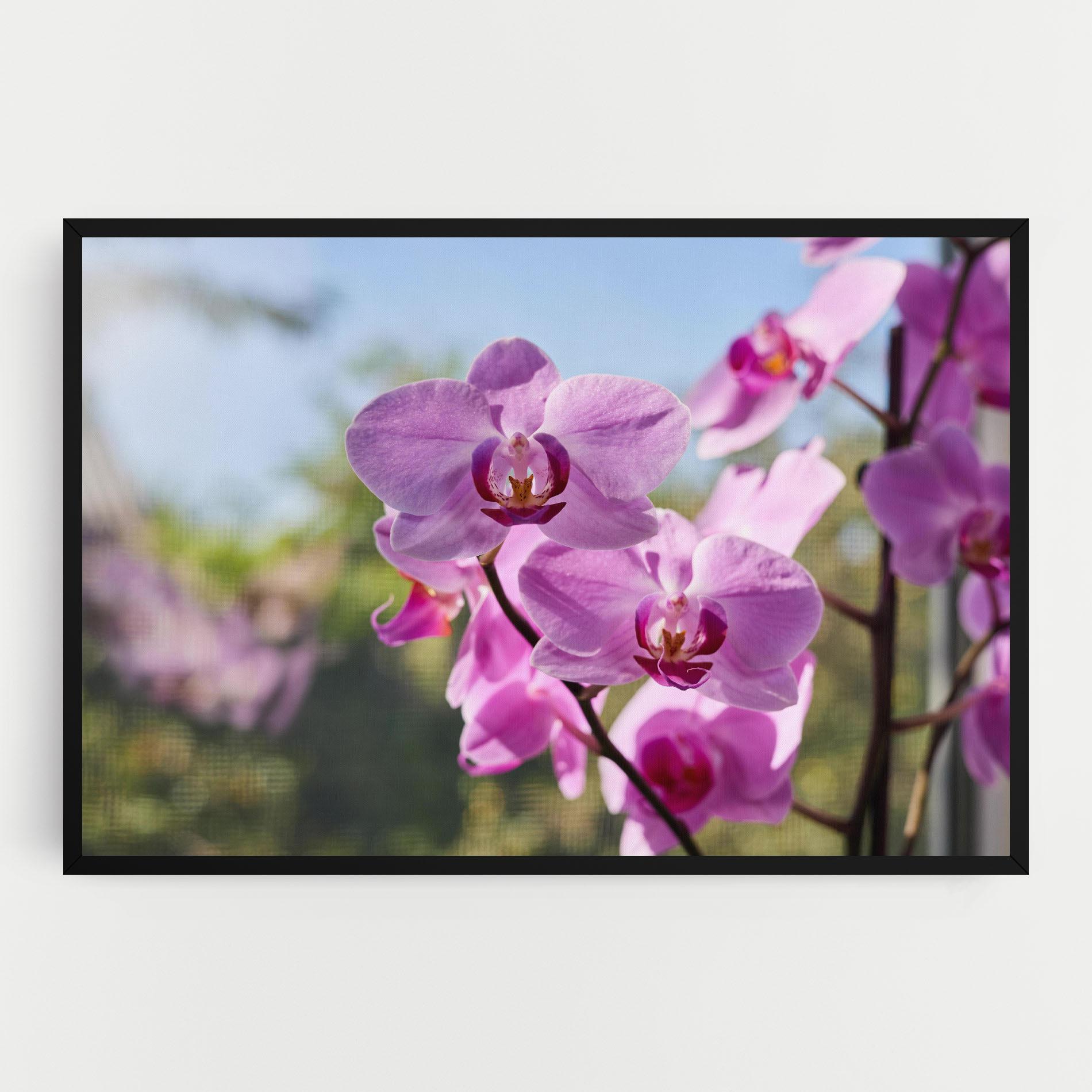 Tablou Canvas Orchids In The Garden mockup 0