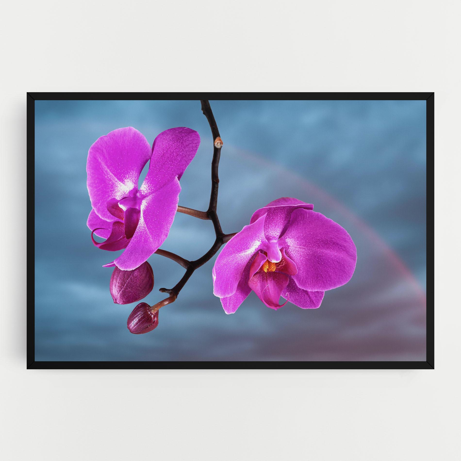 Tablou Canvas Sky Purple Orchid mockup 0