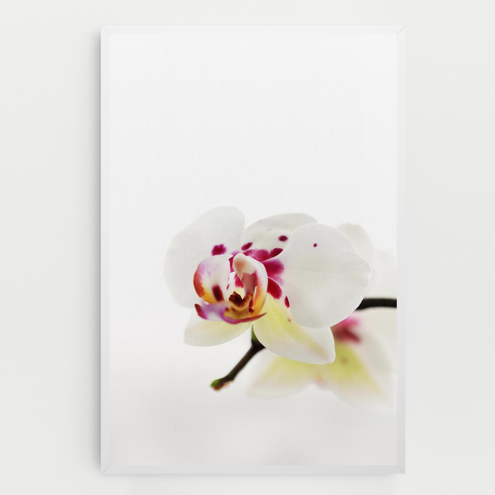 Tablou Canvas Clean White Orchid mockup 0