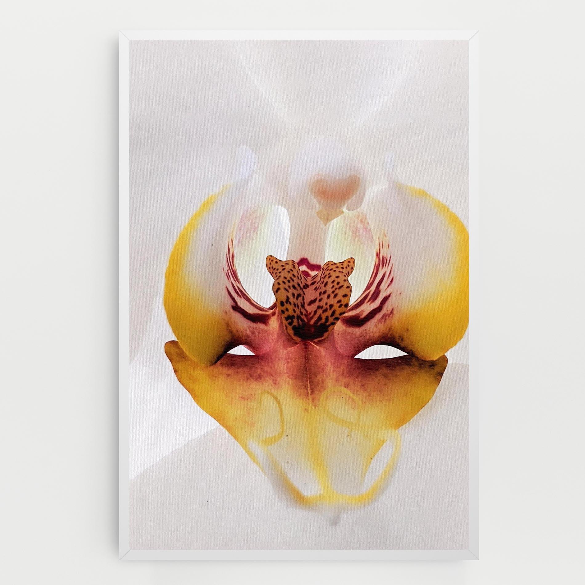 Tablou Canvas Orchid Close Up mockup 0