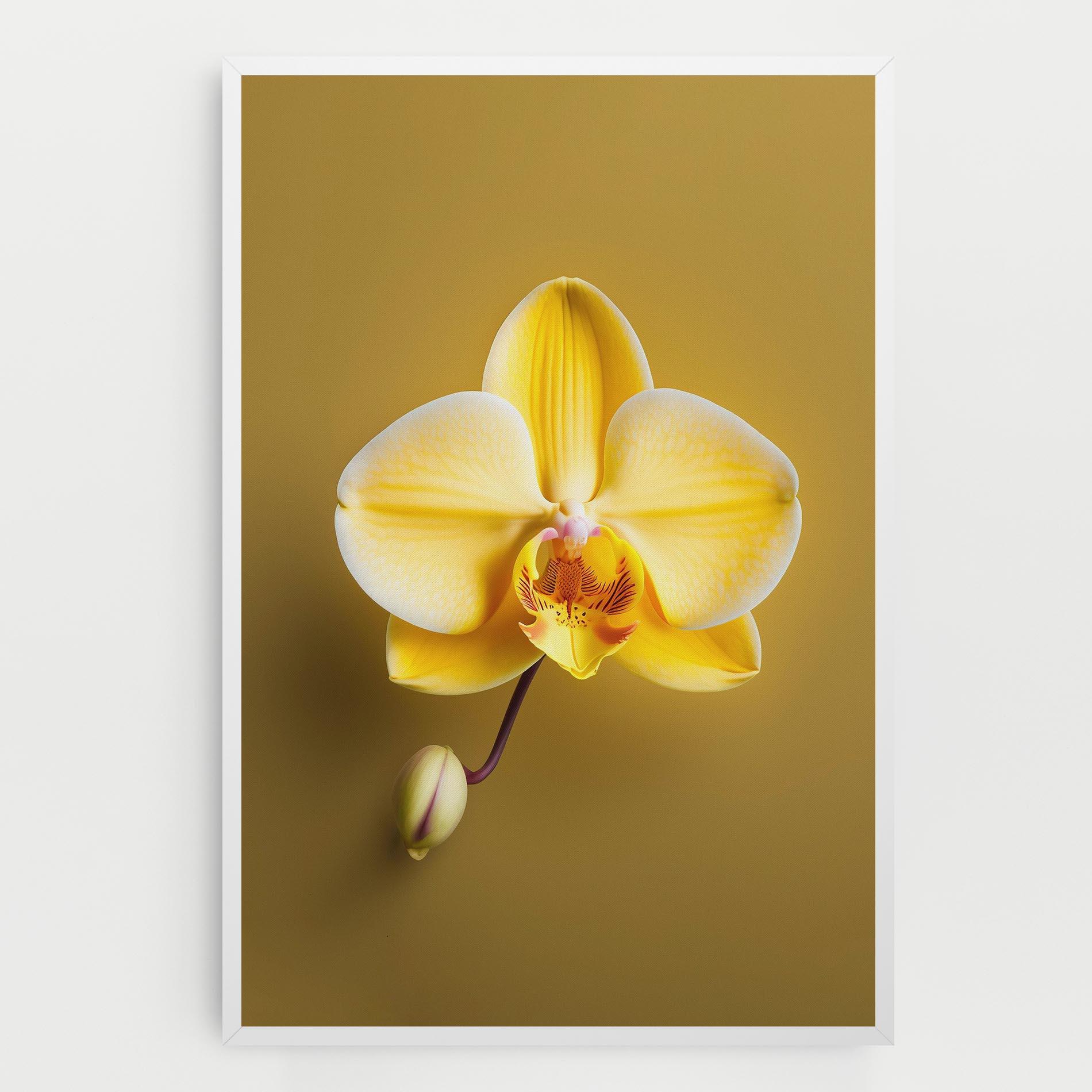 Tablou Canvas Pastel Yellow Orchid mockup 0
