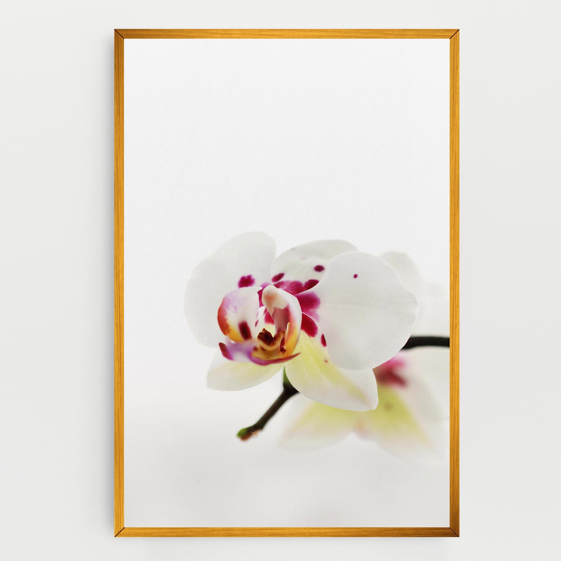 Tablou Canvas Clean White Orchid mockup 0