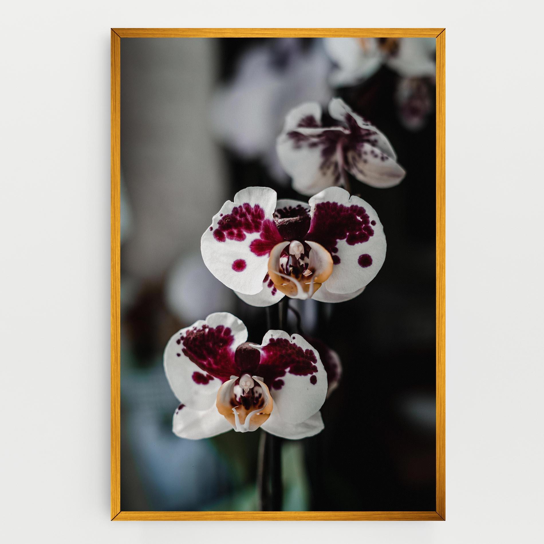 Tablou Canvas Dark Purple Orchid mockup 0