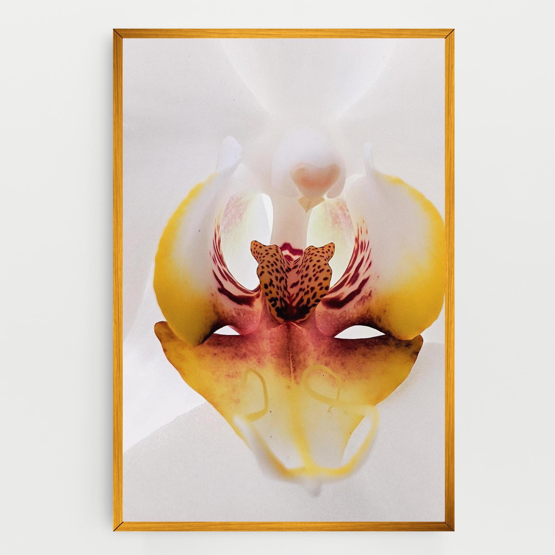 Tablou Canvas Orchid Close Up mockup 0