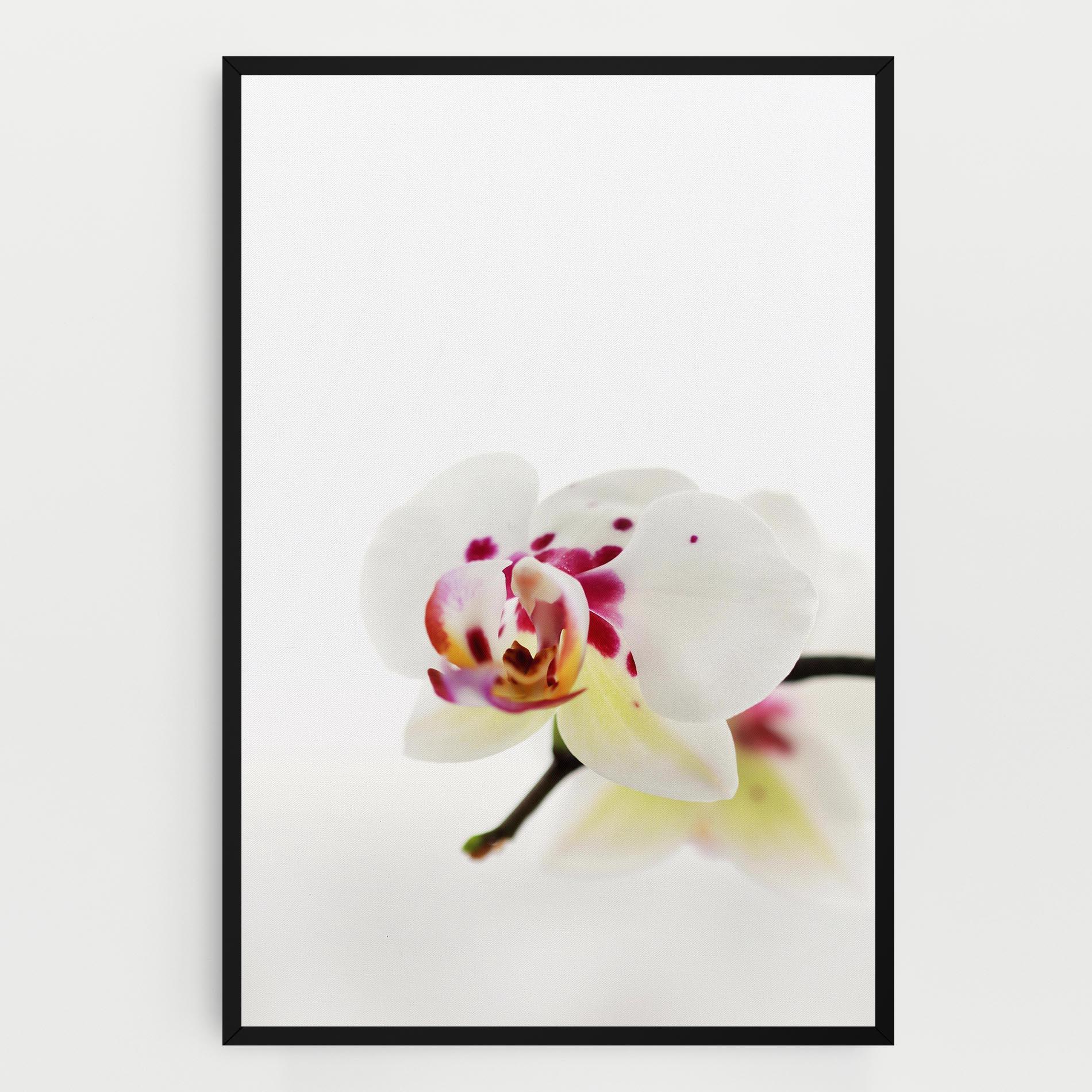 Tablou Canvas Clean White Orchid mockup 0