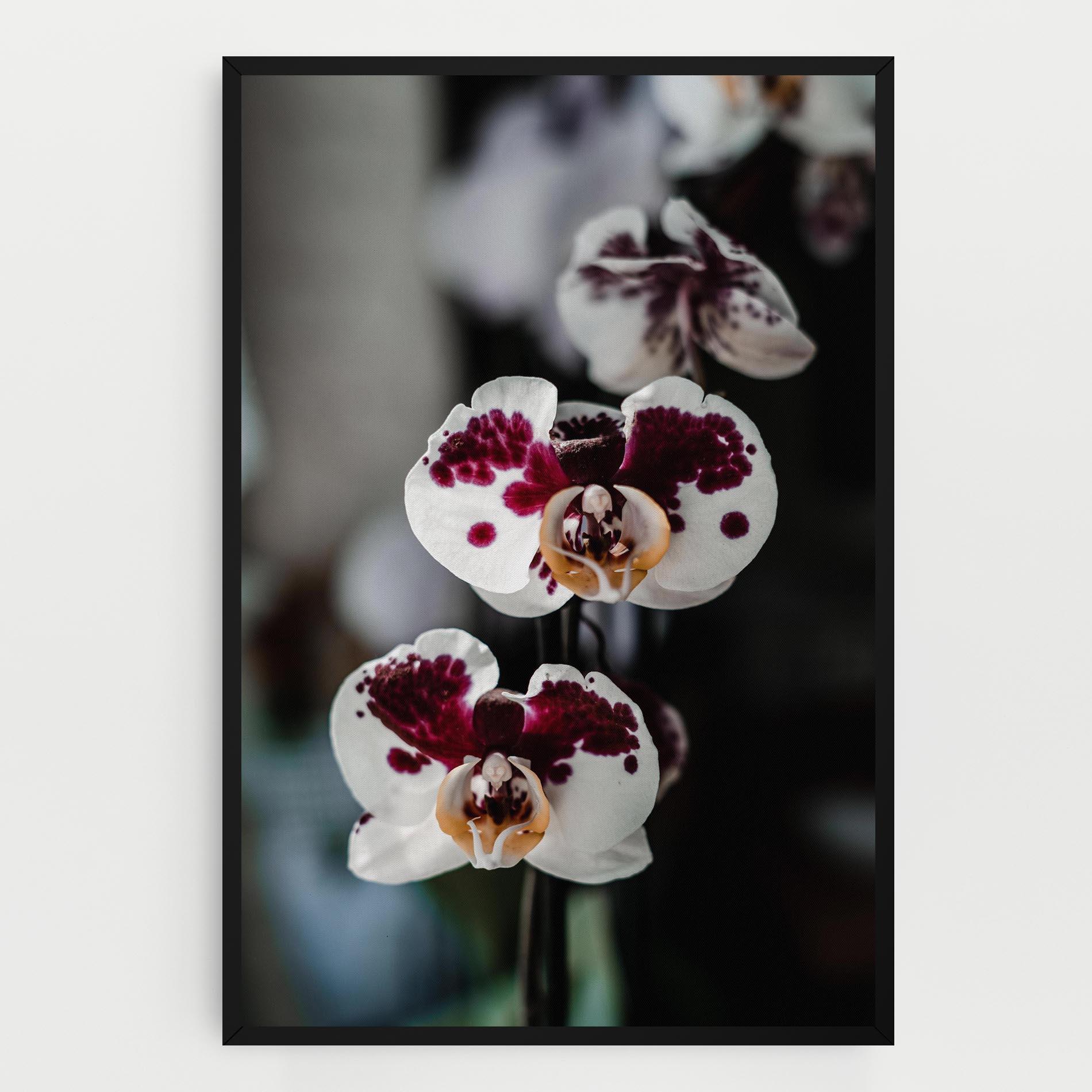 Tablou Canvas Dark Purple Orchid mockup 0