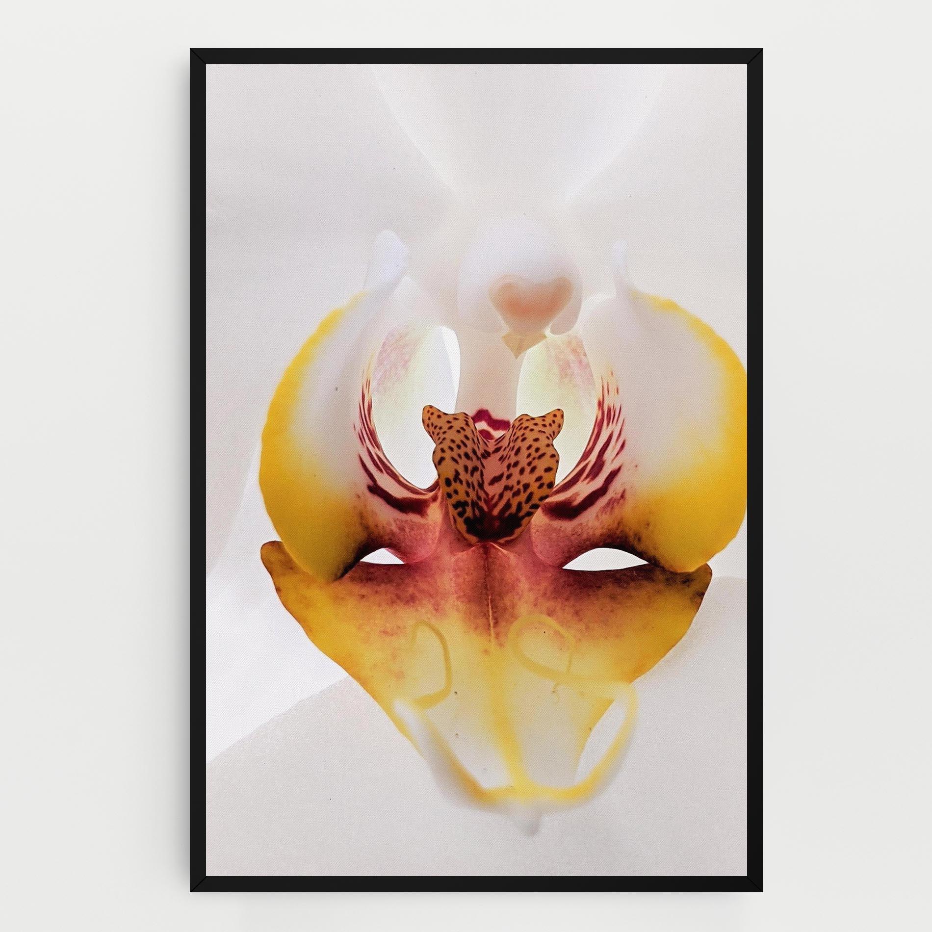 Tablou Canvas Orchid Close Up mockup 0