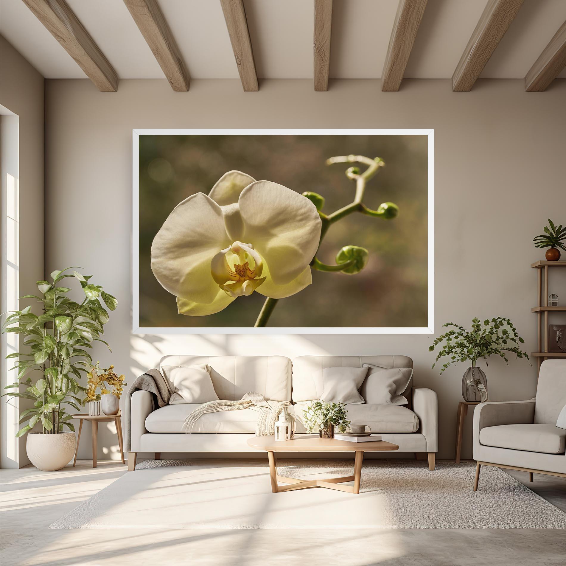 Tablou Canvas Pastel Yellow Orchid In Garden mockup 6