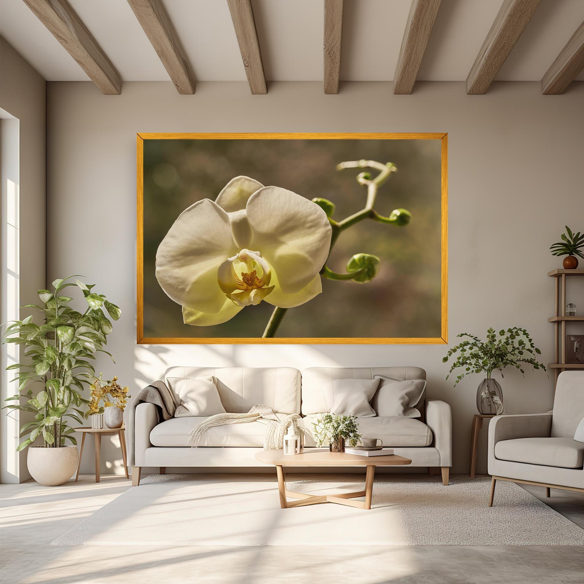 Tablou Canvas Pastel Yellow Orchid In Garden mockup 6
