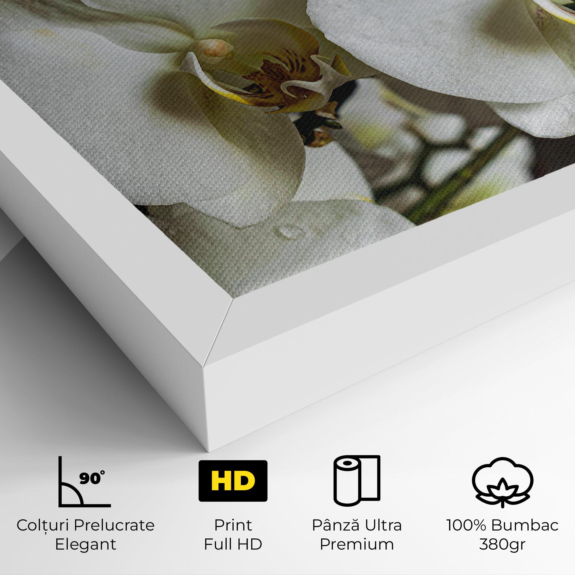 Tablou Canvas Beautiful White Orchids mockup 4
