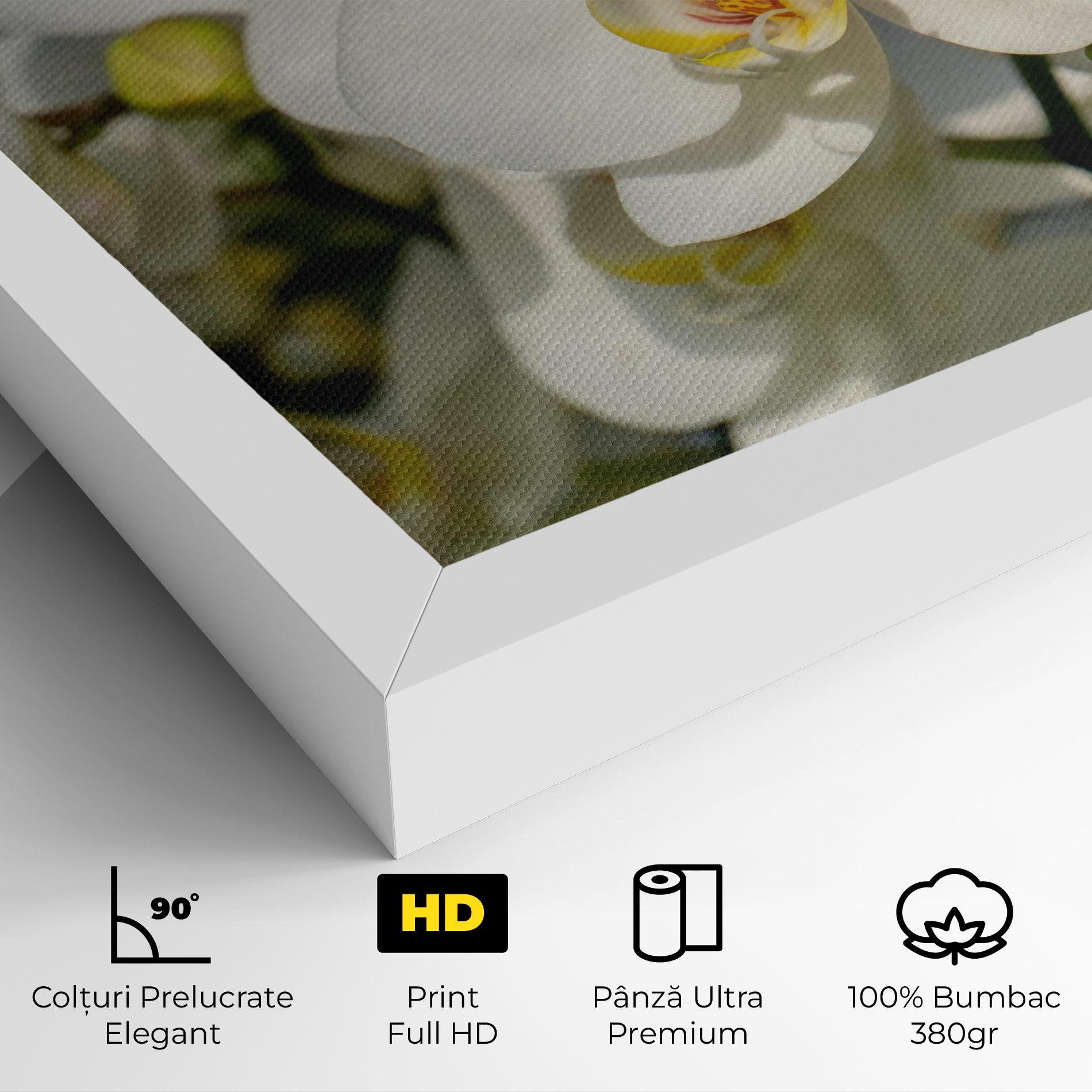 Tablou Canvas Big Orchids In Nature mockup 4