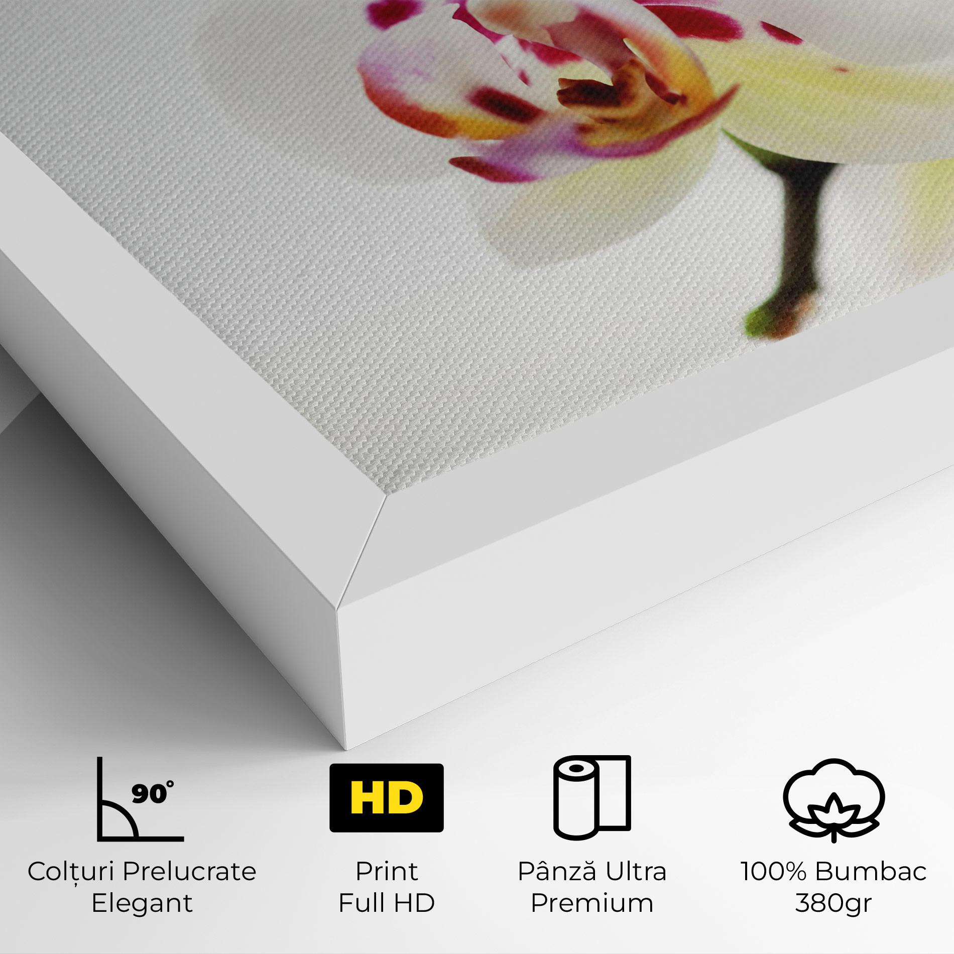 Tablou Canvas Clean White Orchid mockup 4