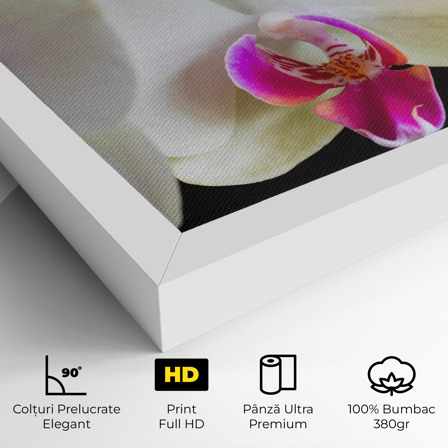 Tablou Canvas Cream Purple Orchids mockup 4