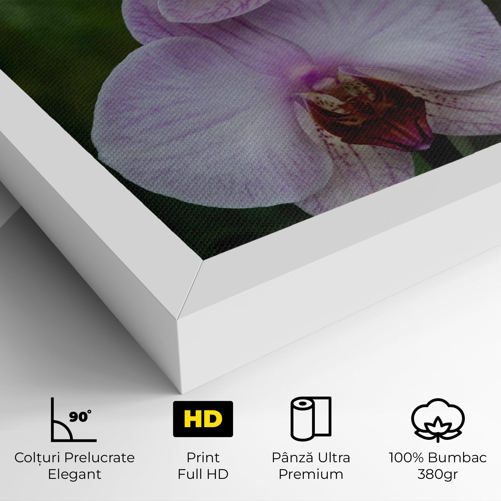 Tablou Canvas Garden Light Purple Orchid mockup 4
