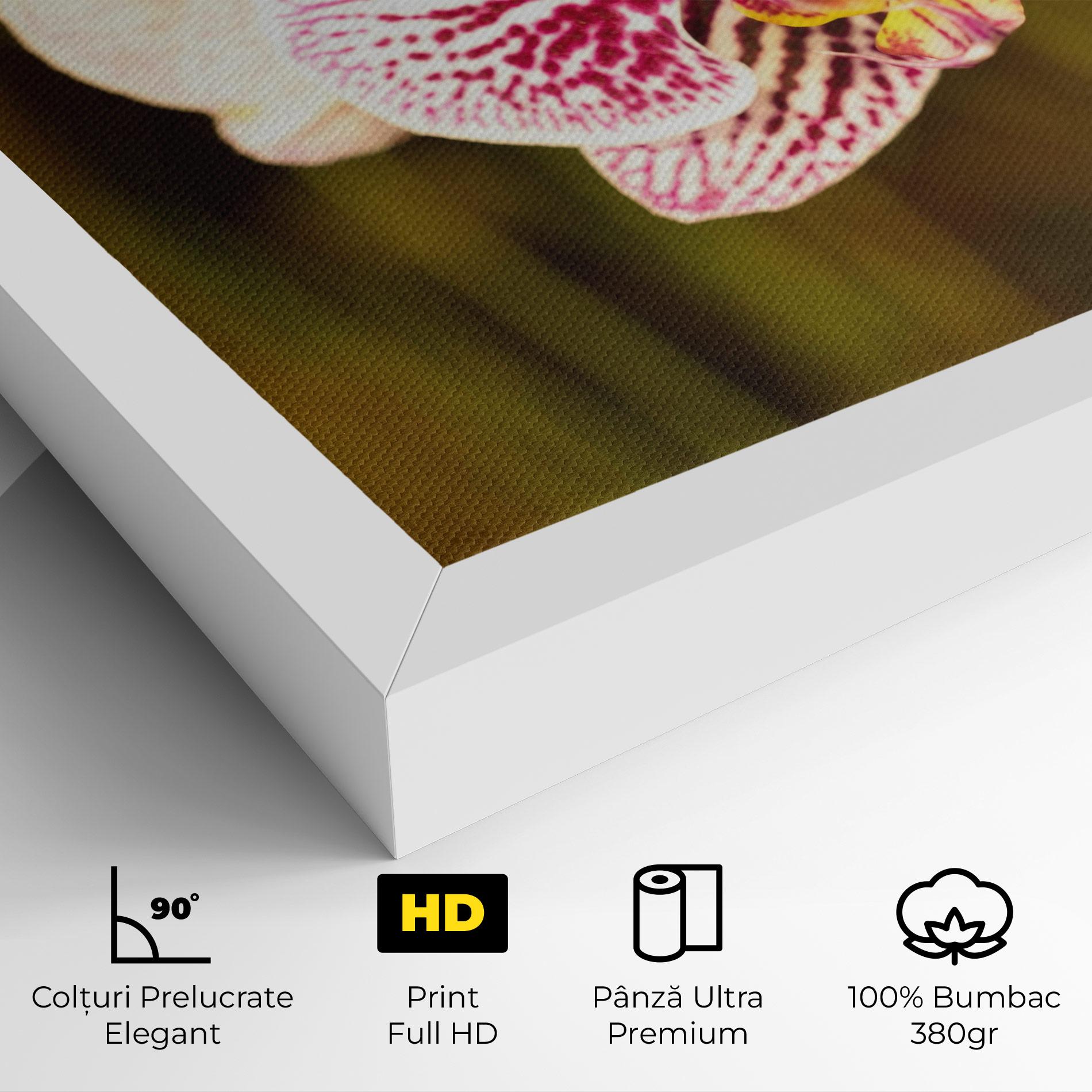 Tablou Canvas Garden Orchids mockup 4
