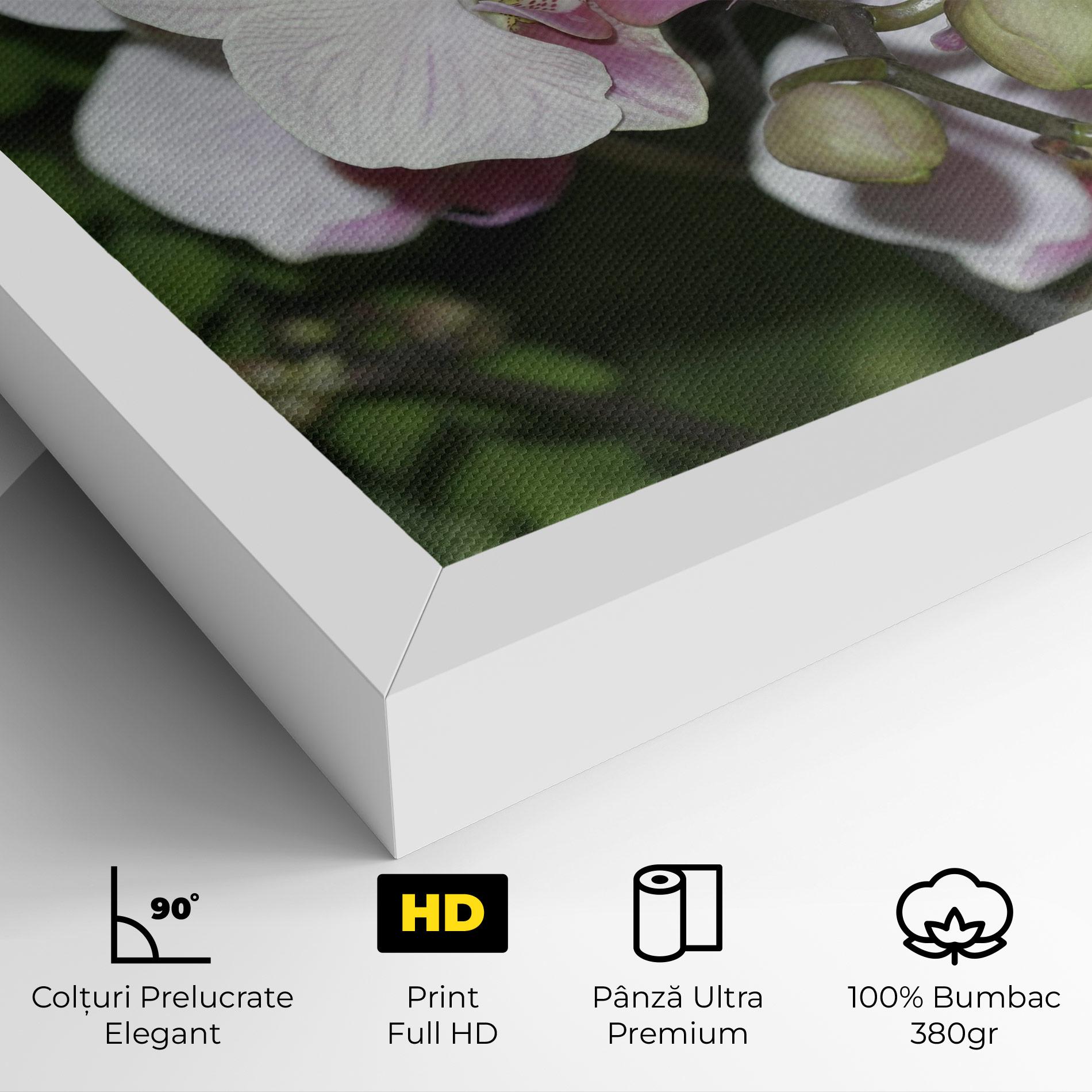 Tablou Canvas Orchid Botanical Garden mockup 4
