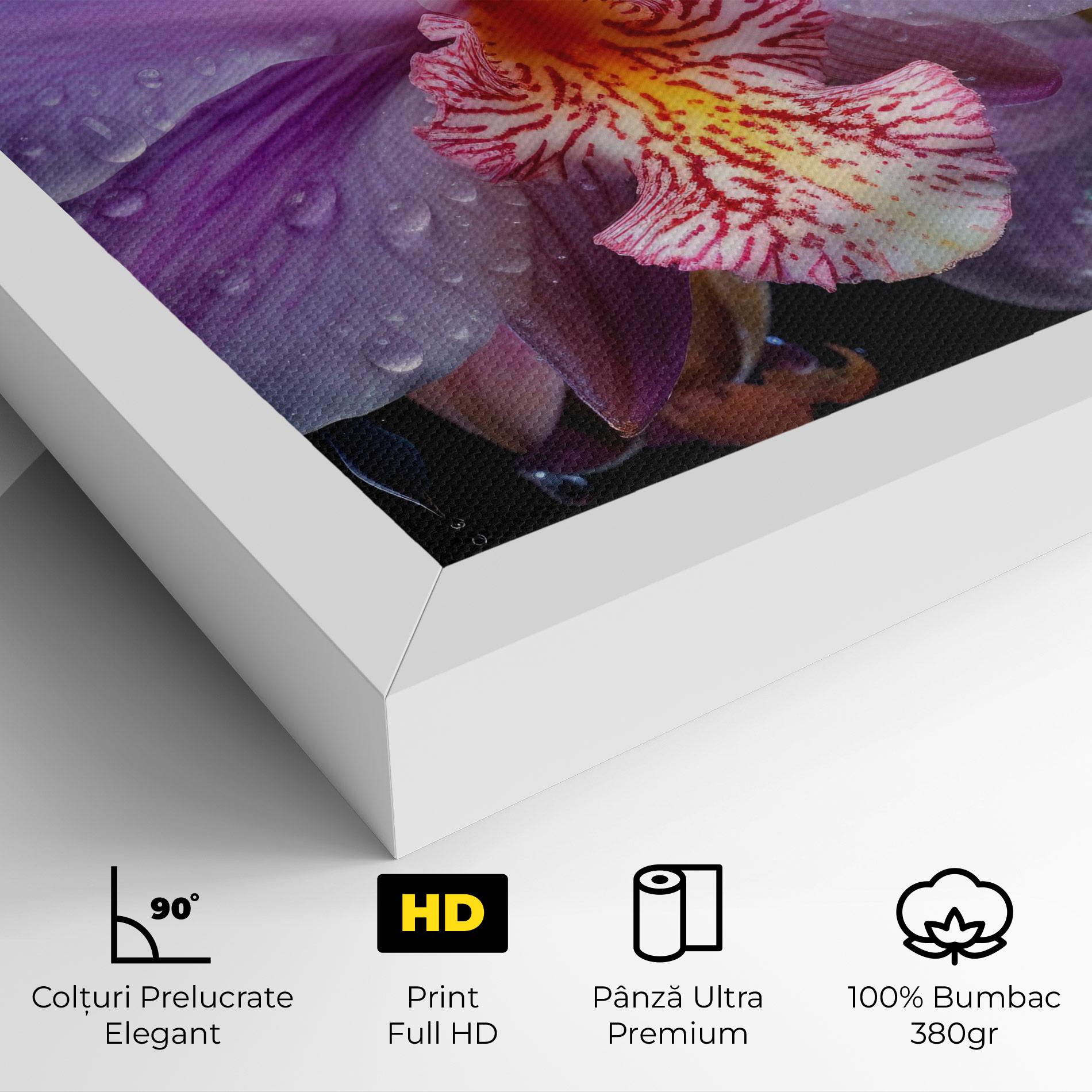 Tablou Canvas Orchid In Rain mockup 4