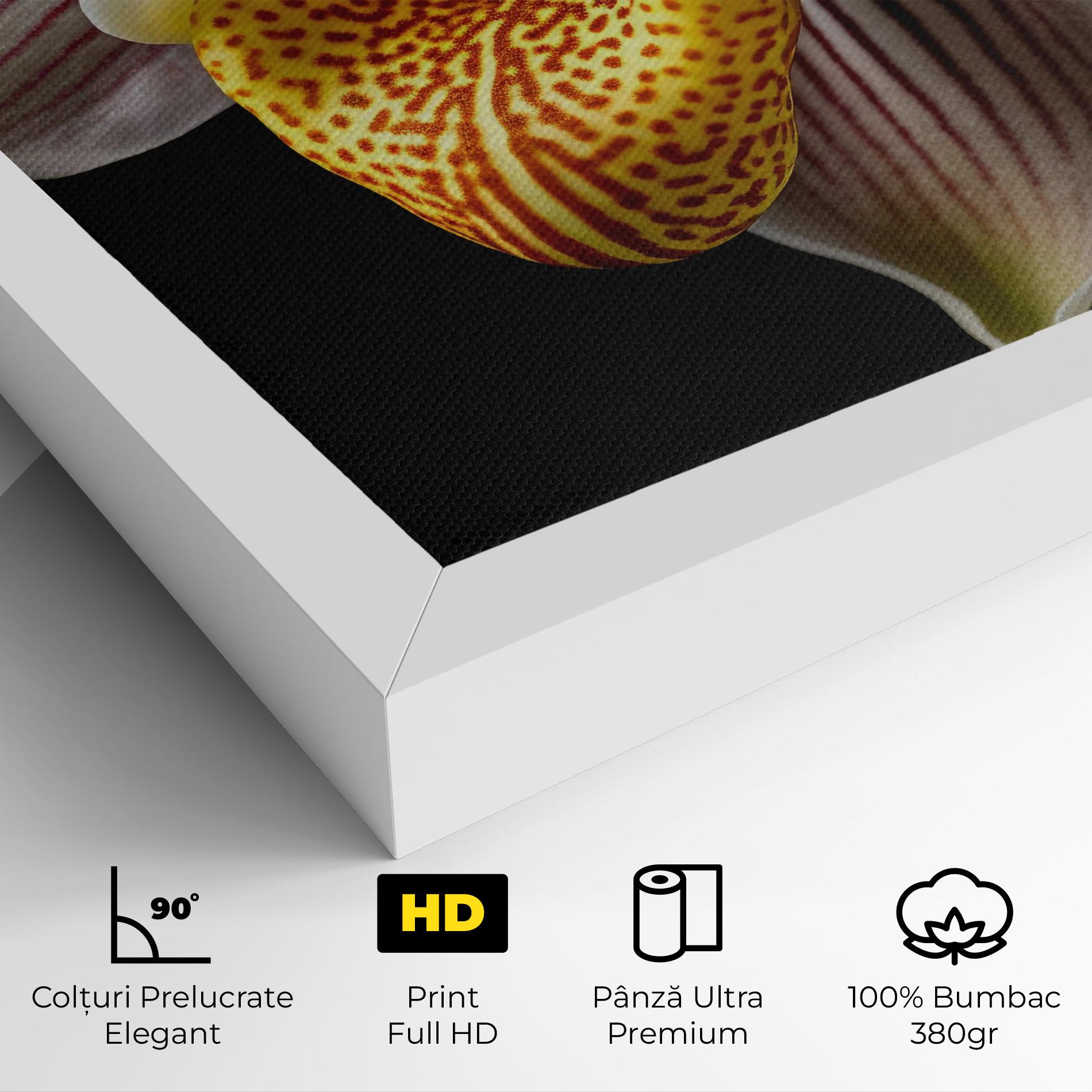 Tablou Canvas Orchid On Black mockup 4
