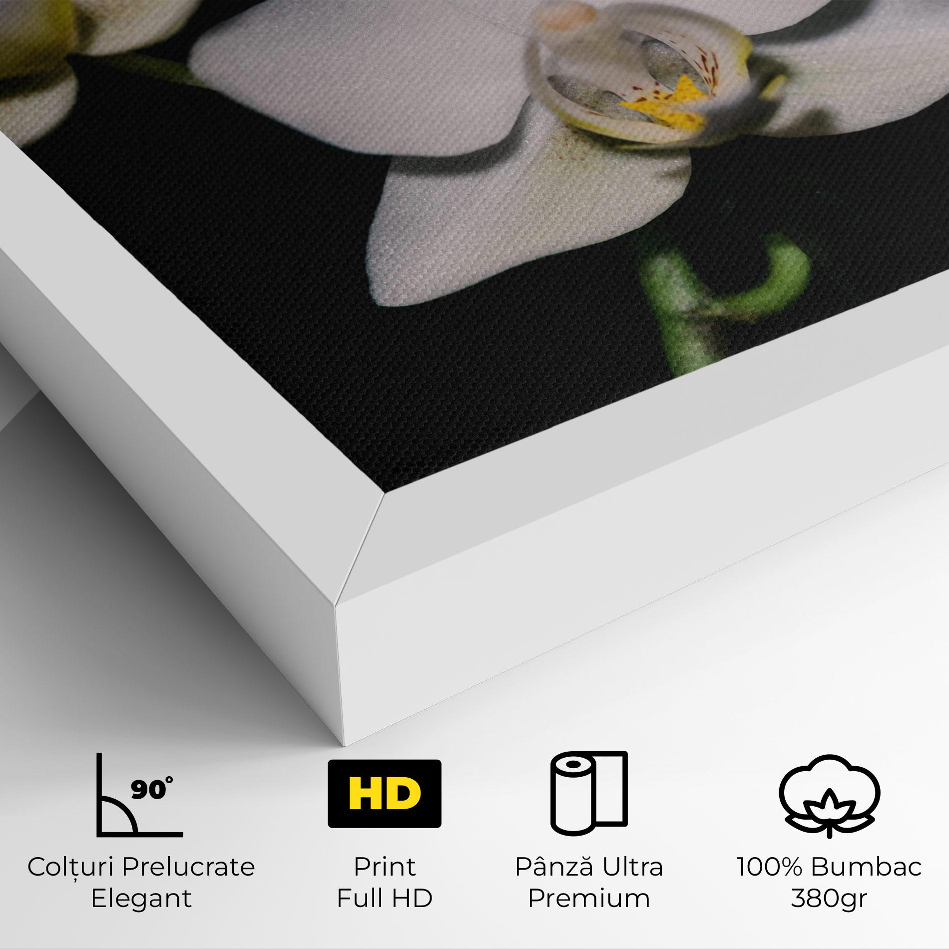 Tablou Canvas Orchids On Black mockup 4