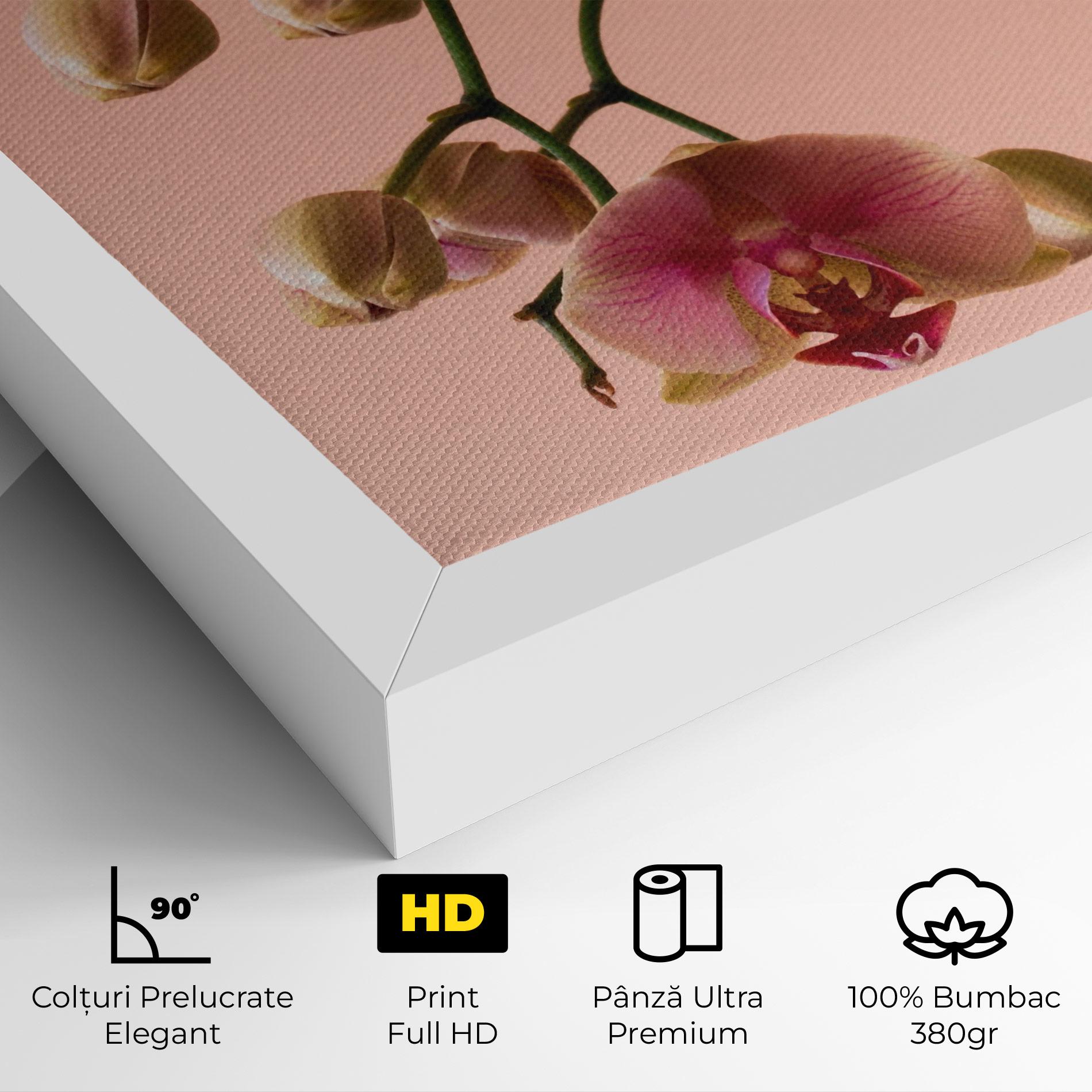 Tablou Canvas Orchids On Pink mockup 4