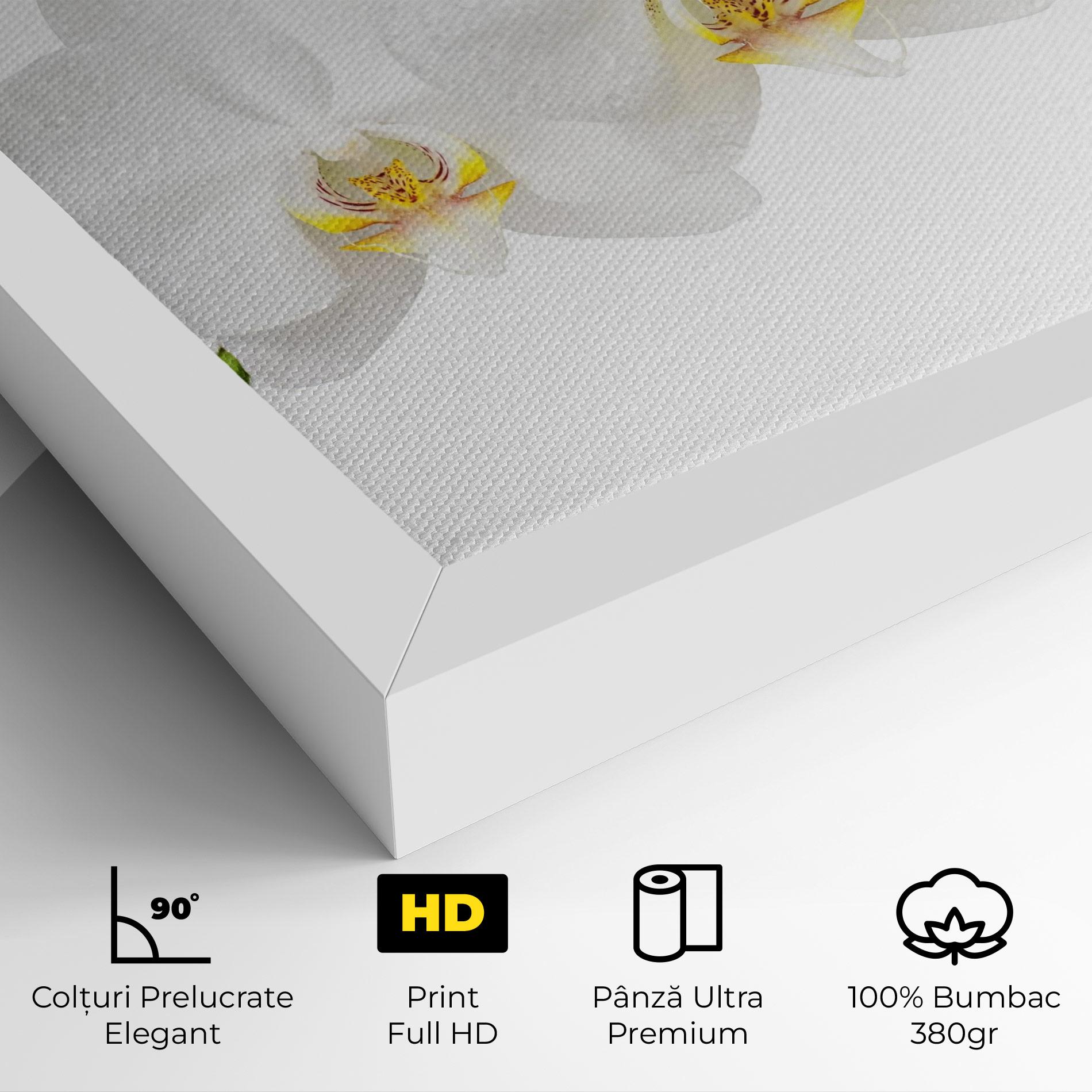 Tablou Canvas Orchids On White mockup 4