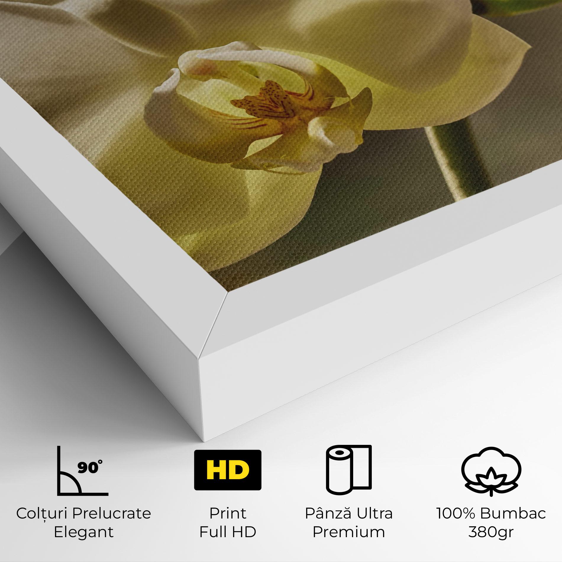 Tablou Canvas Pastel Yellow Orchid In Garden mockup 4